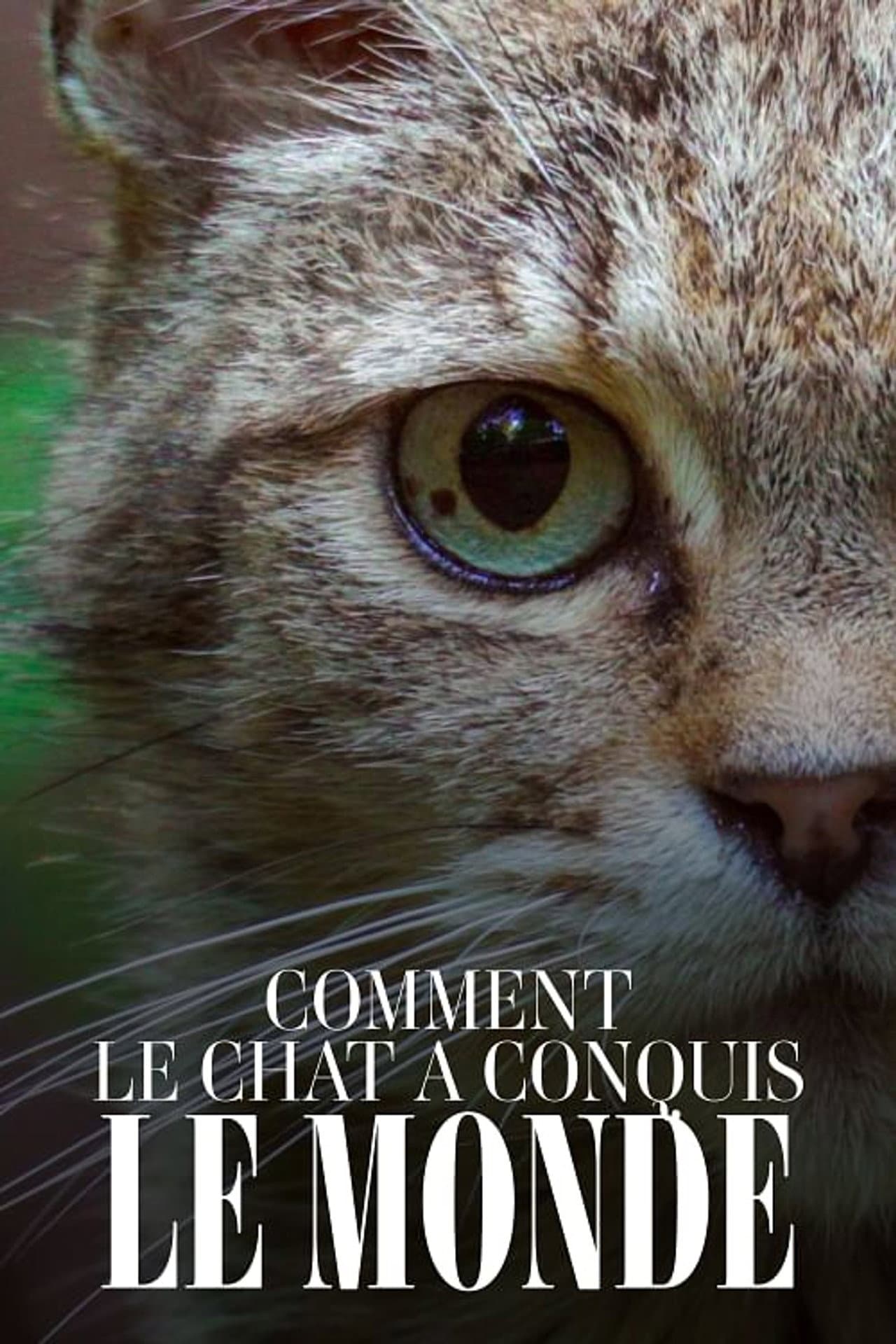 Comment le chat a conquis le monde preview 2