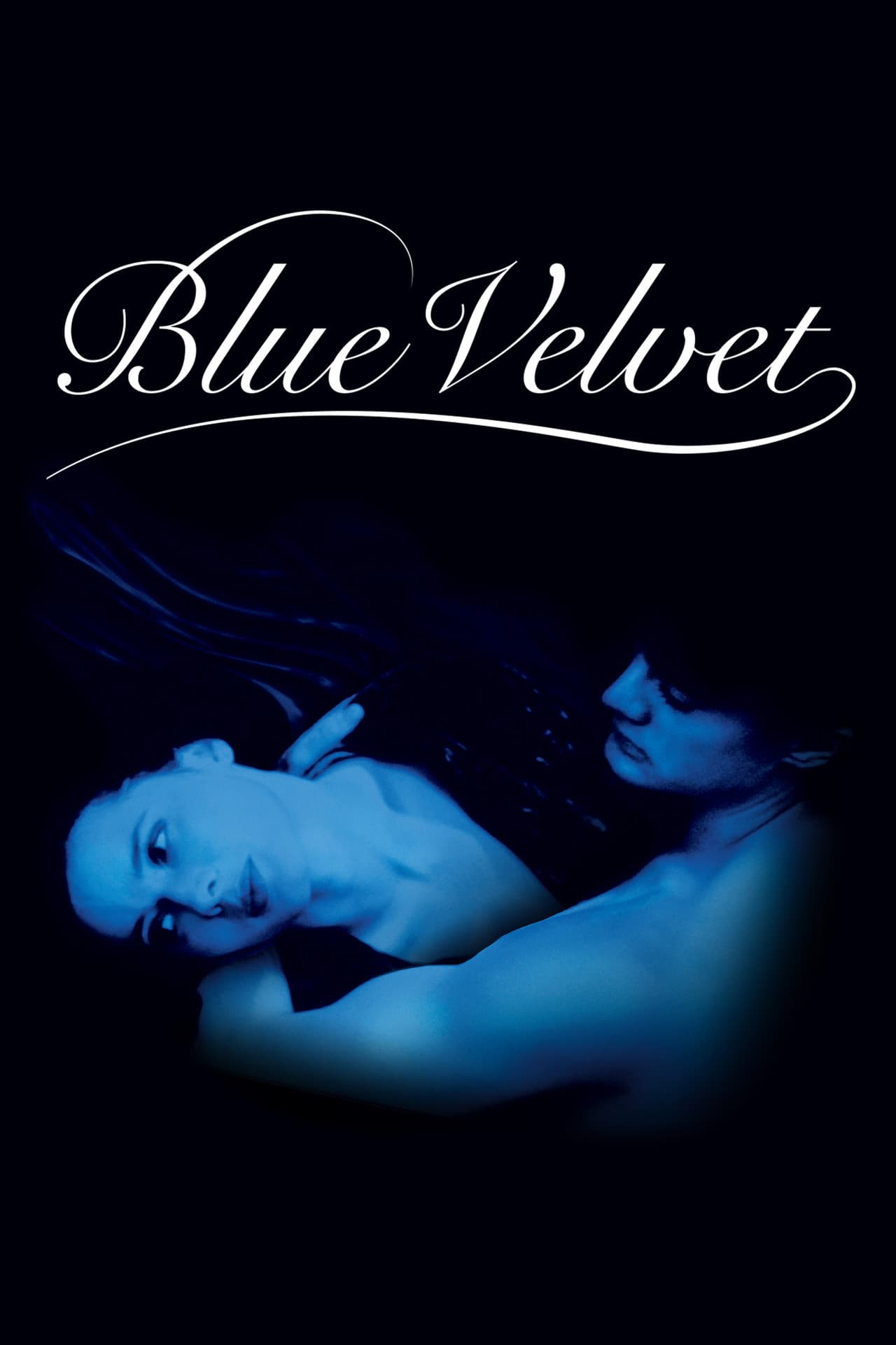 Blue Velvet preview 2