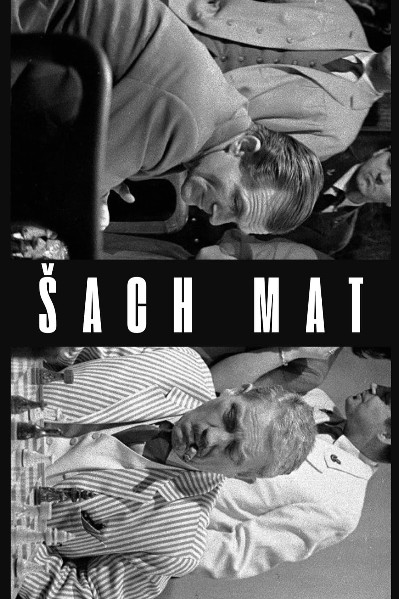 Šach mat preview 1