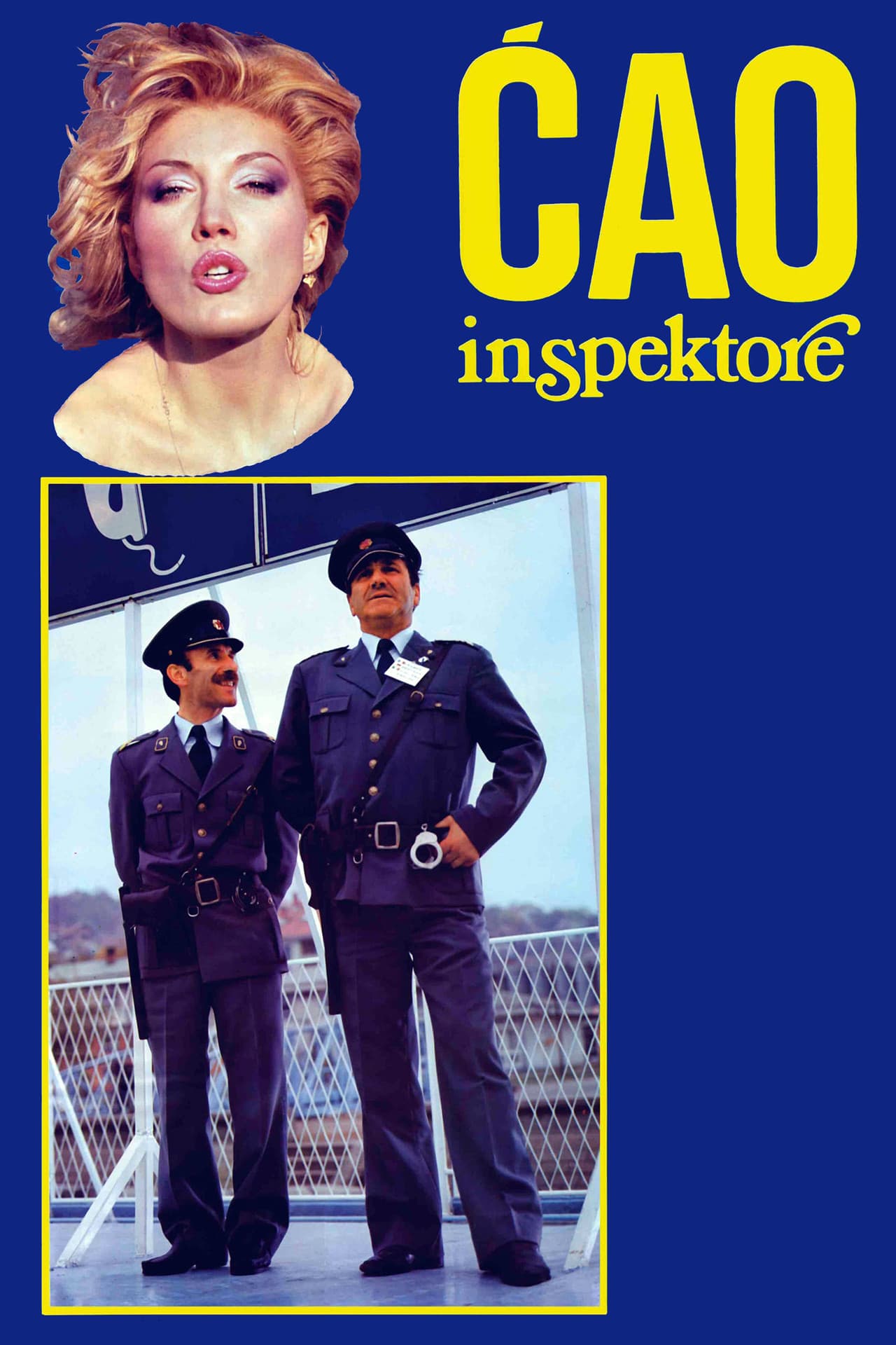 Hi, Inspector preview 2
