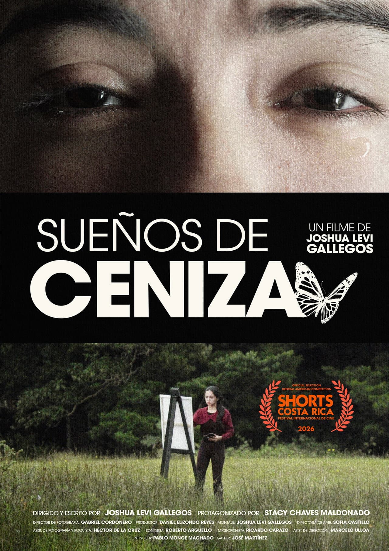 Sueños de Ceniza preview 2