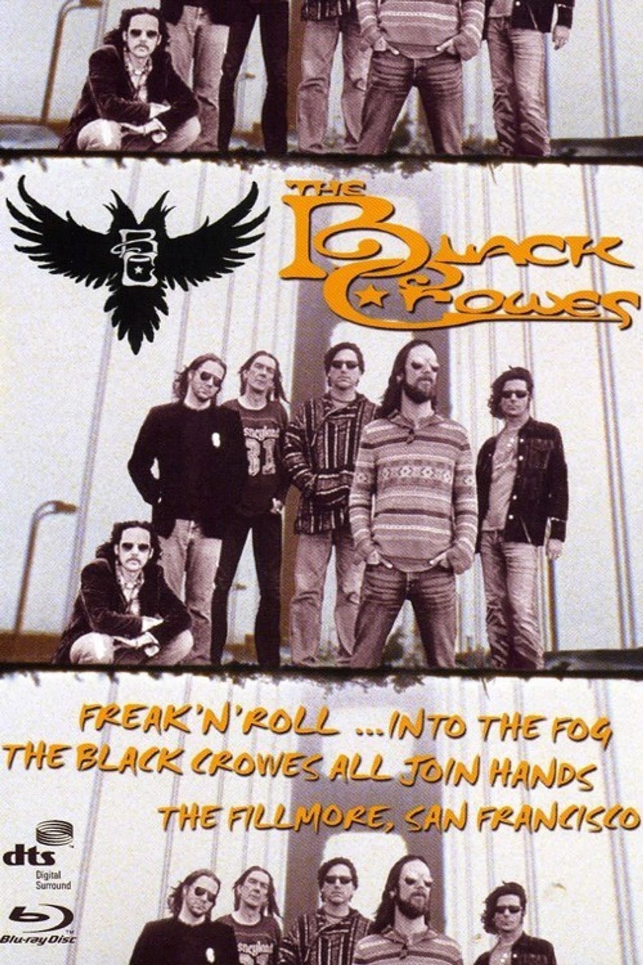 The Black Crowes - Freak 'n' Roll... Into the Fog preview 2