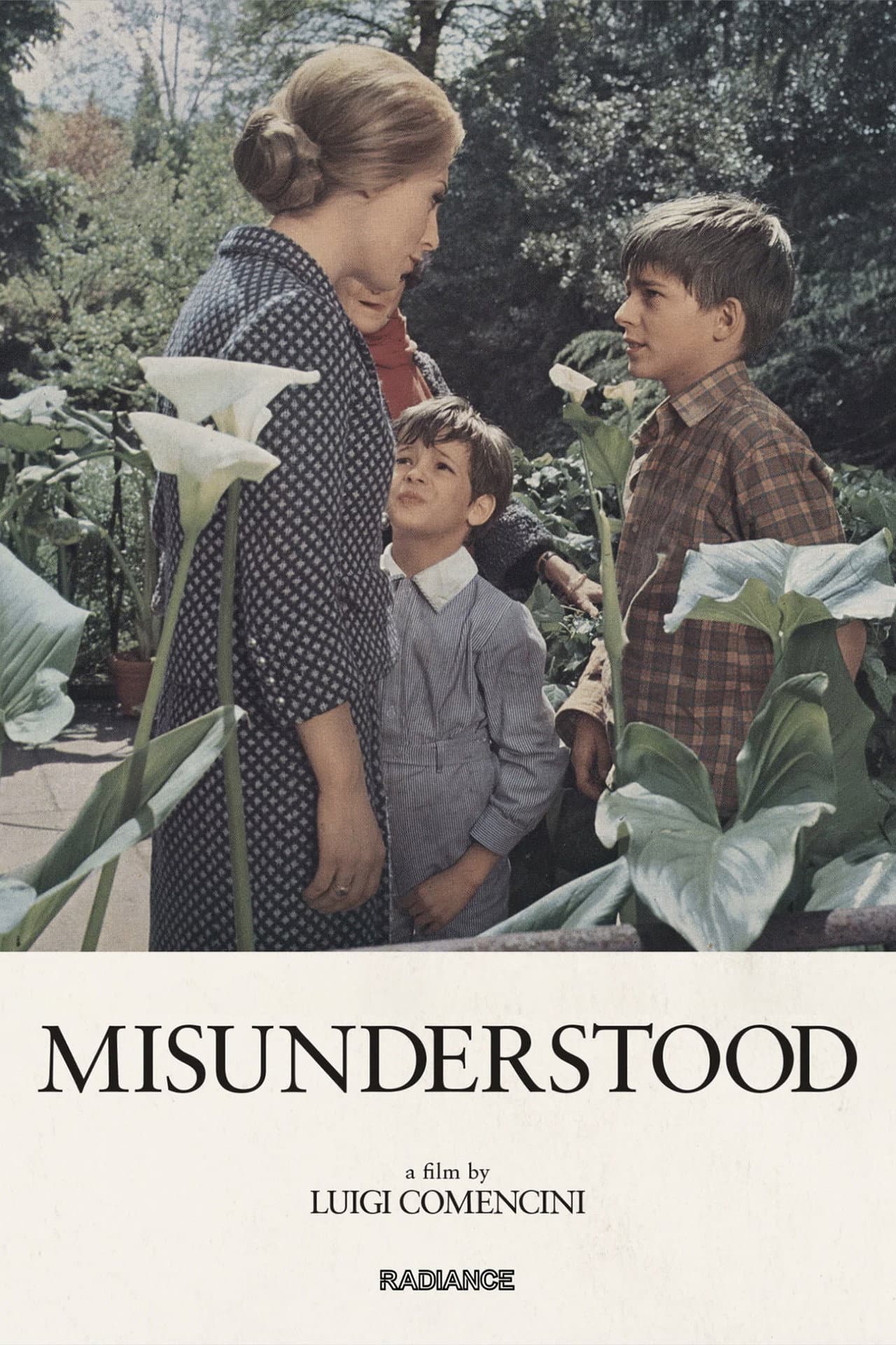 Misunderstood preview 2