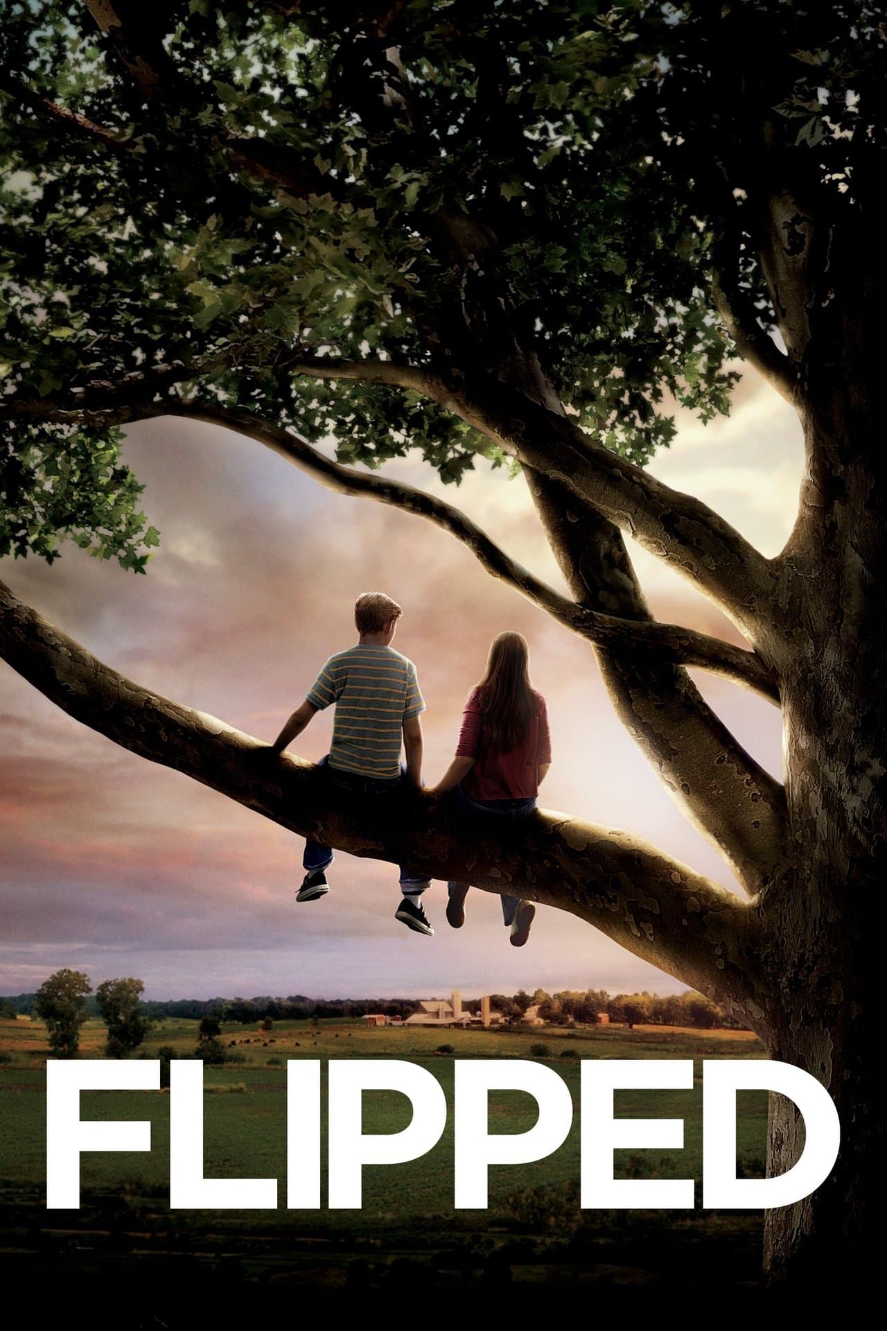 Flipped preview 2