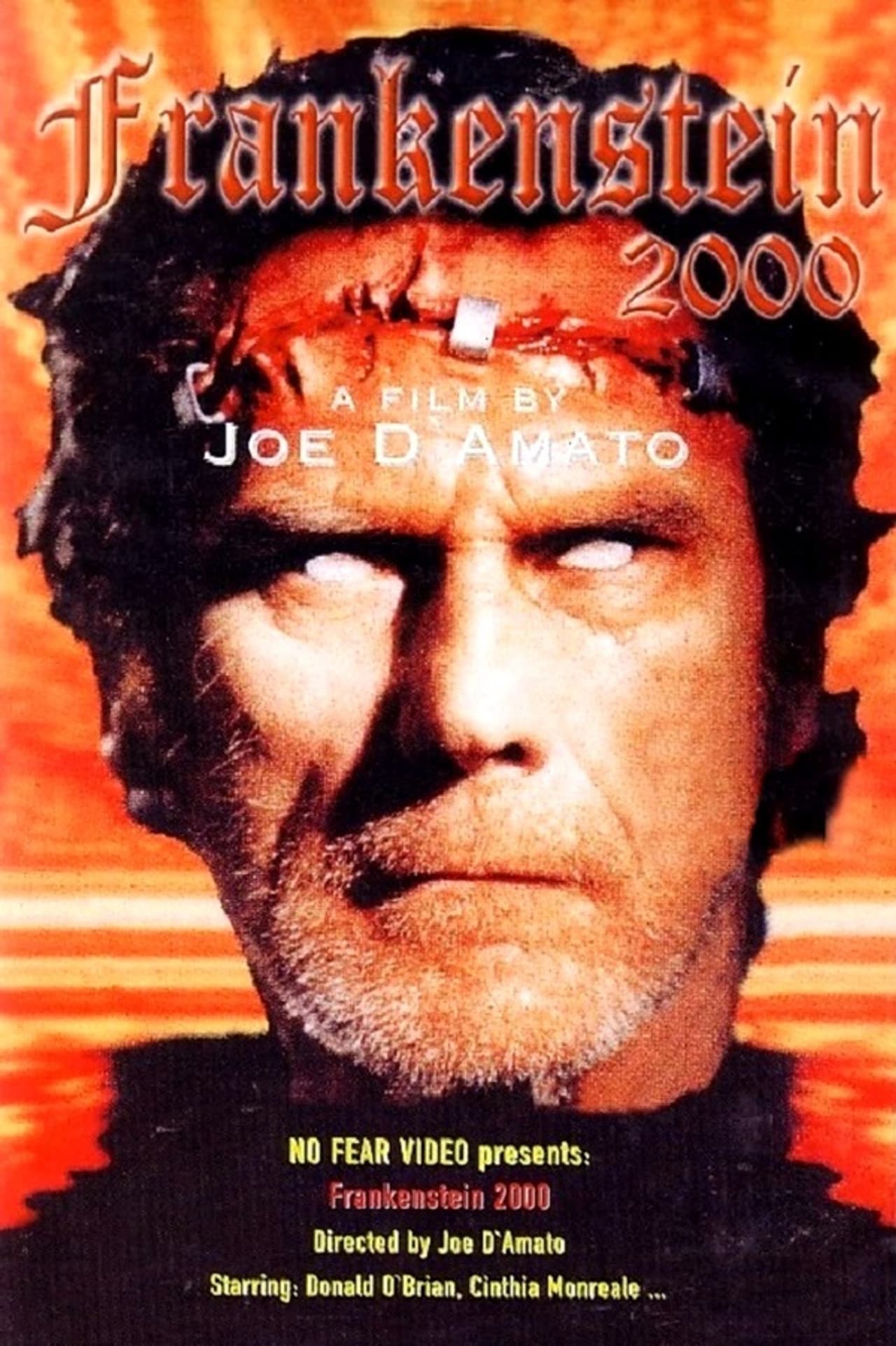 Return from Death: Frankenstein 2000 preview 2