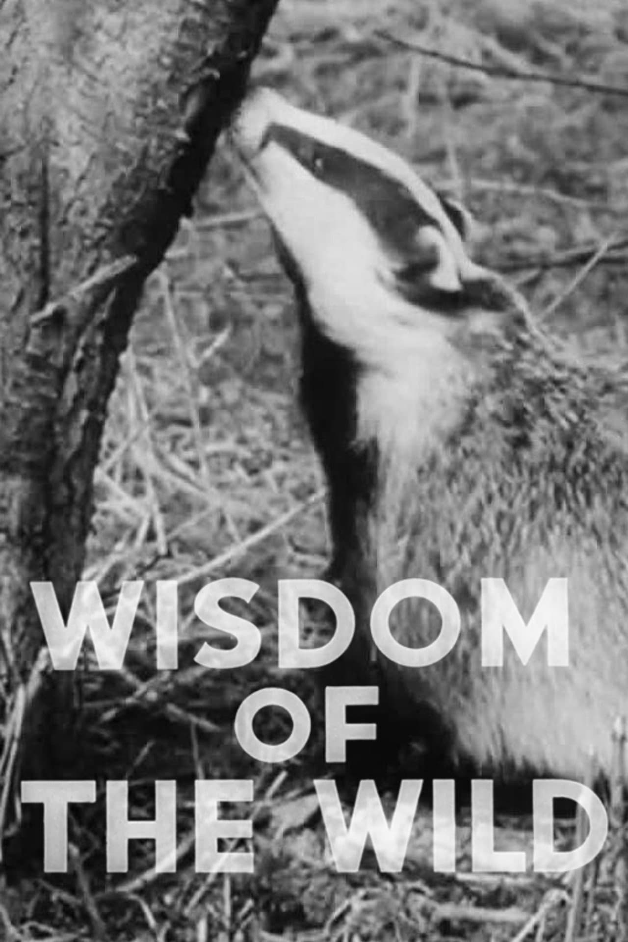 Wisdom of the Wild preview 2