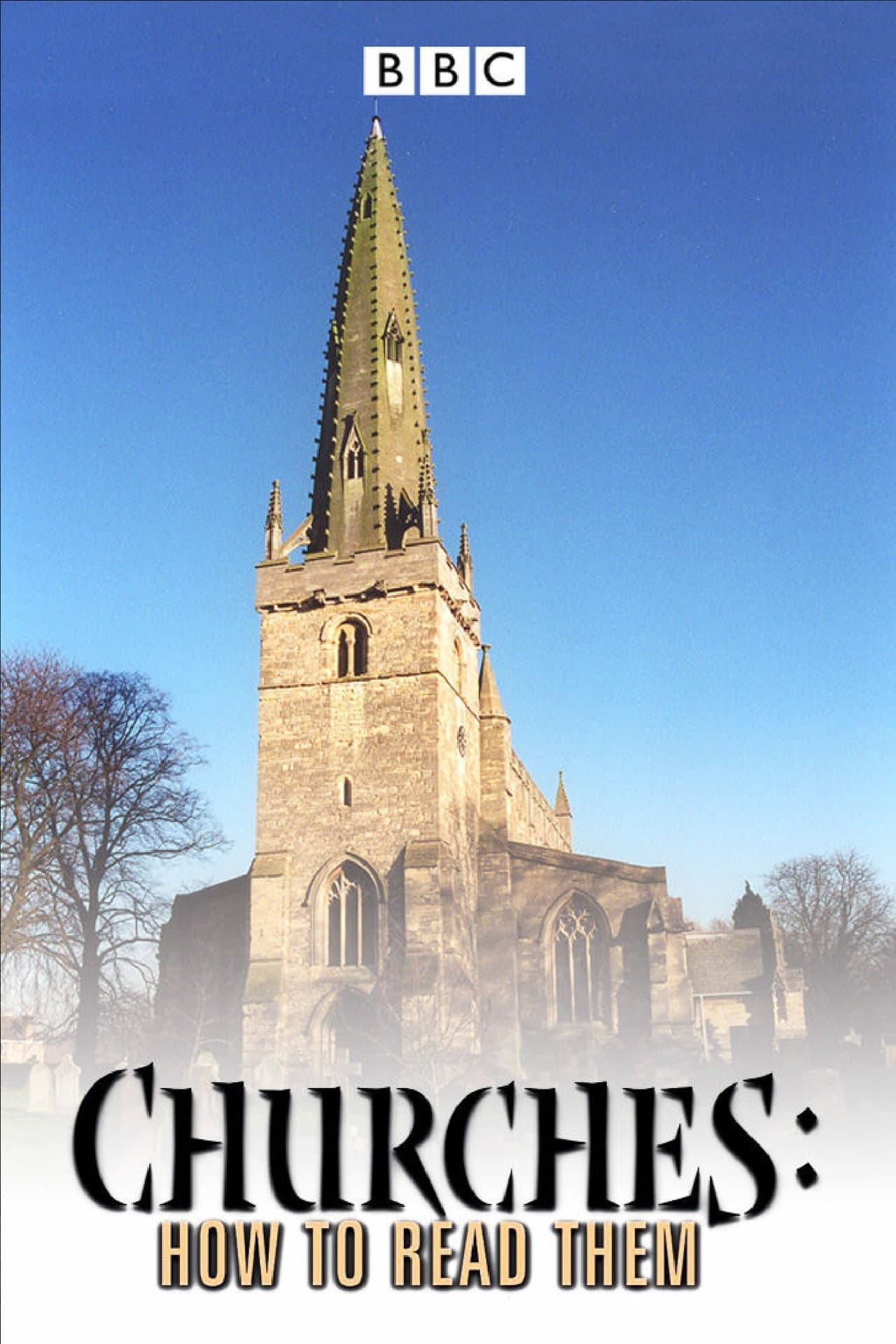 Churches: How to Read Them preview 2