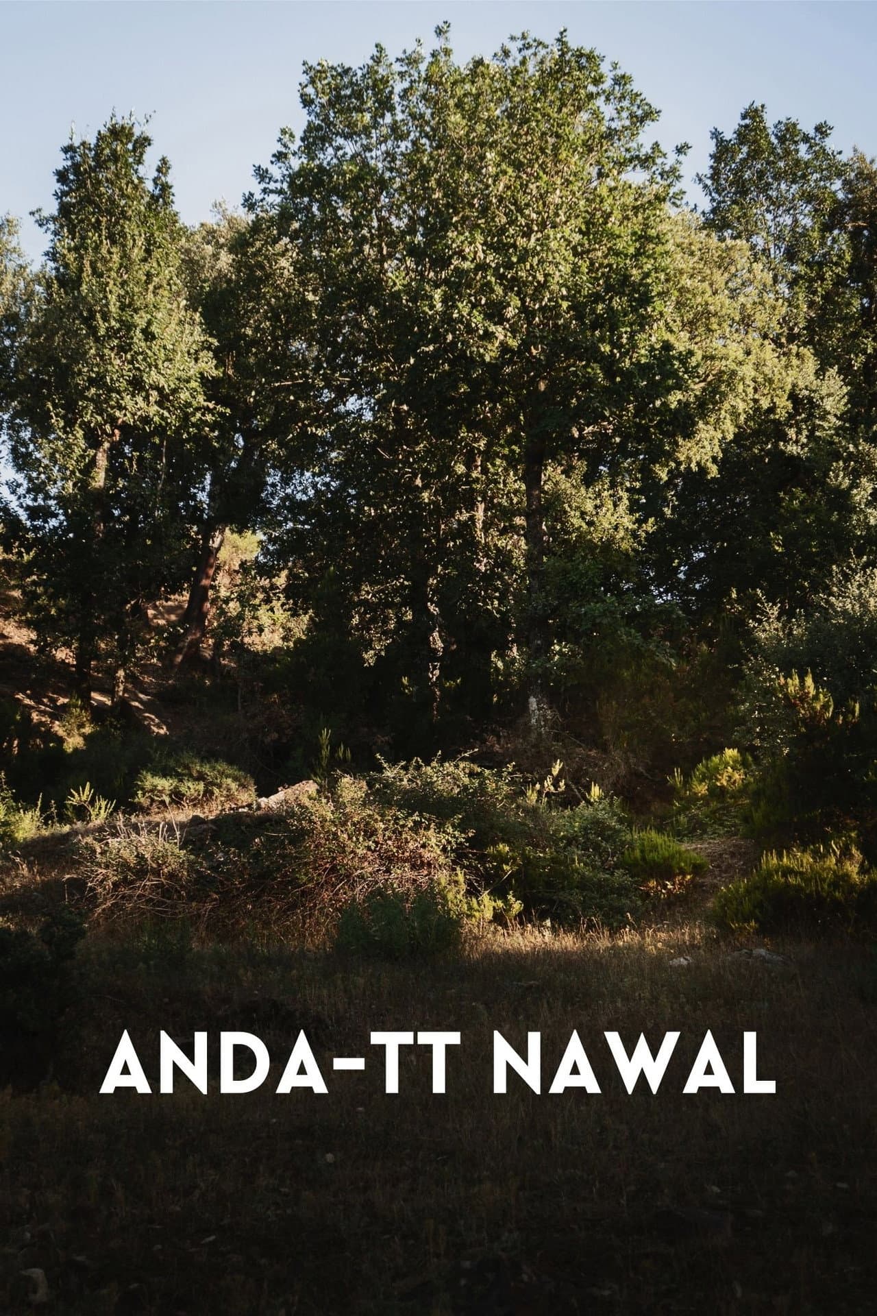 Anda-tt Nawal preview 1