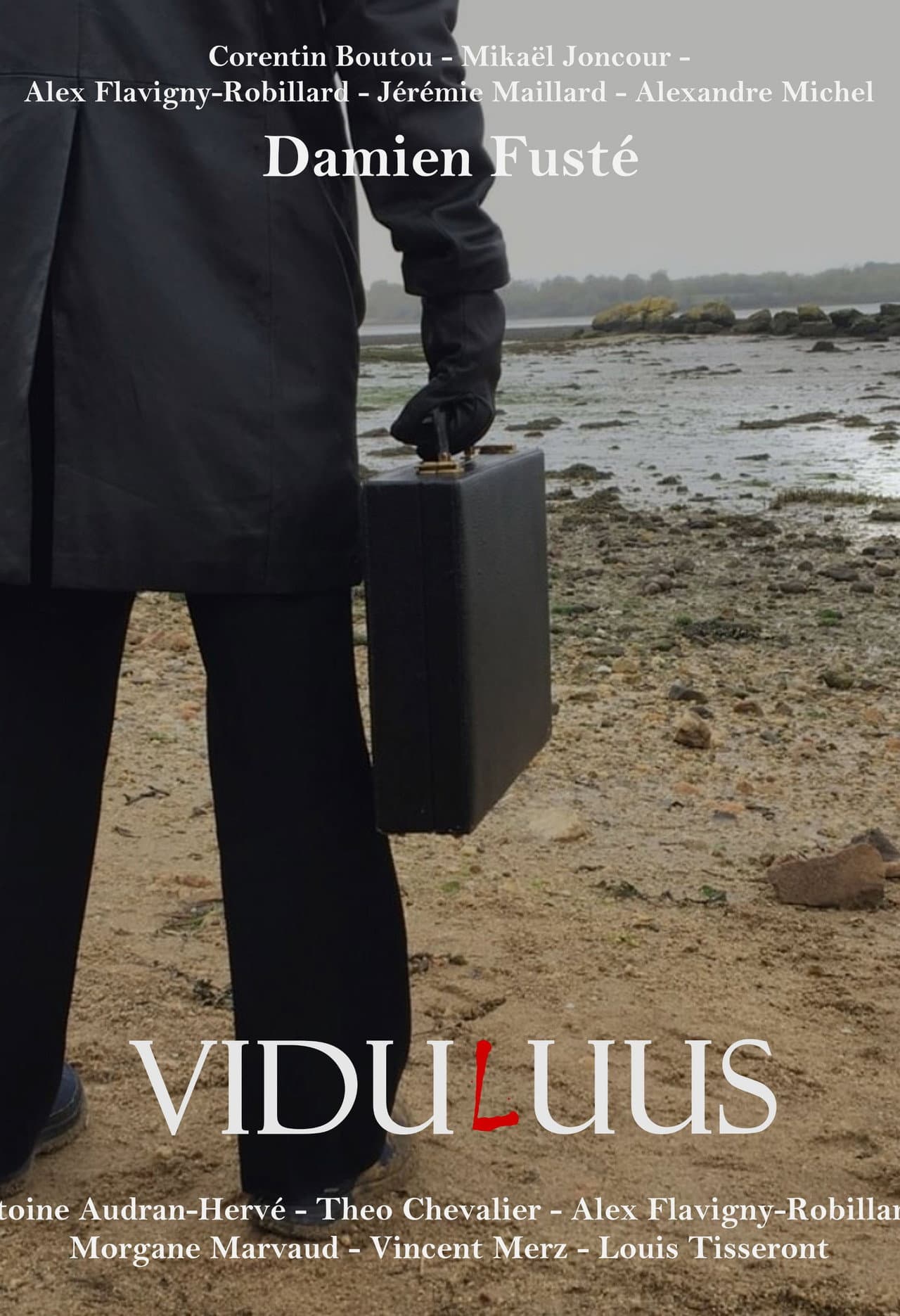 ViduLuus preview 1