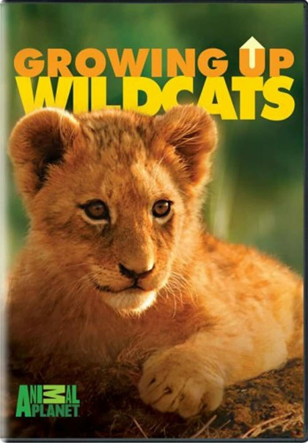 Growing Up. Wildcats. preview 1