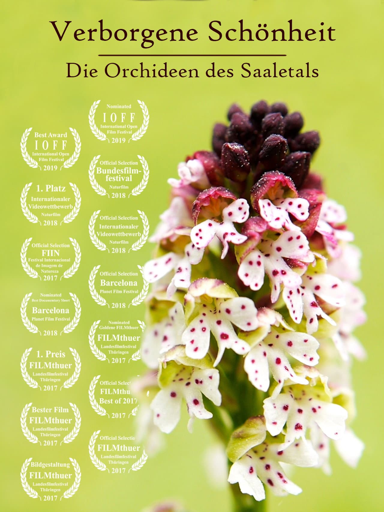 Hidden Beauty - The Orchids of the Saale Valley preview 2
