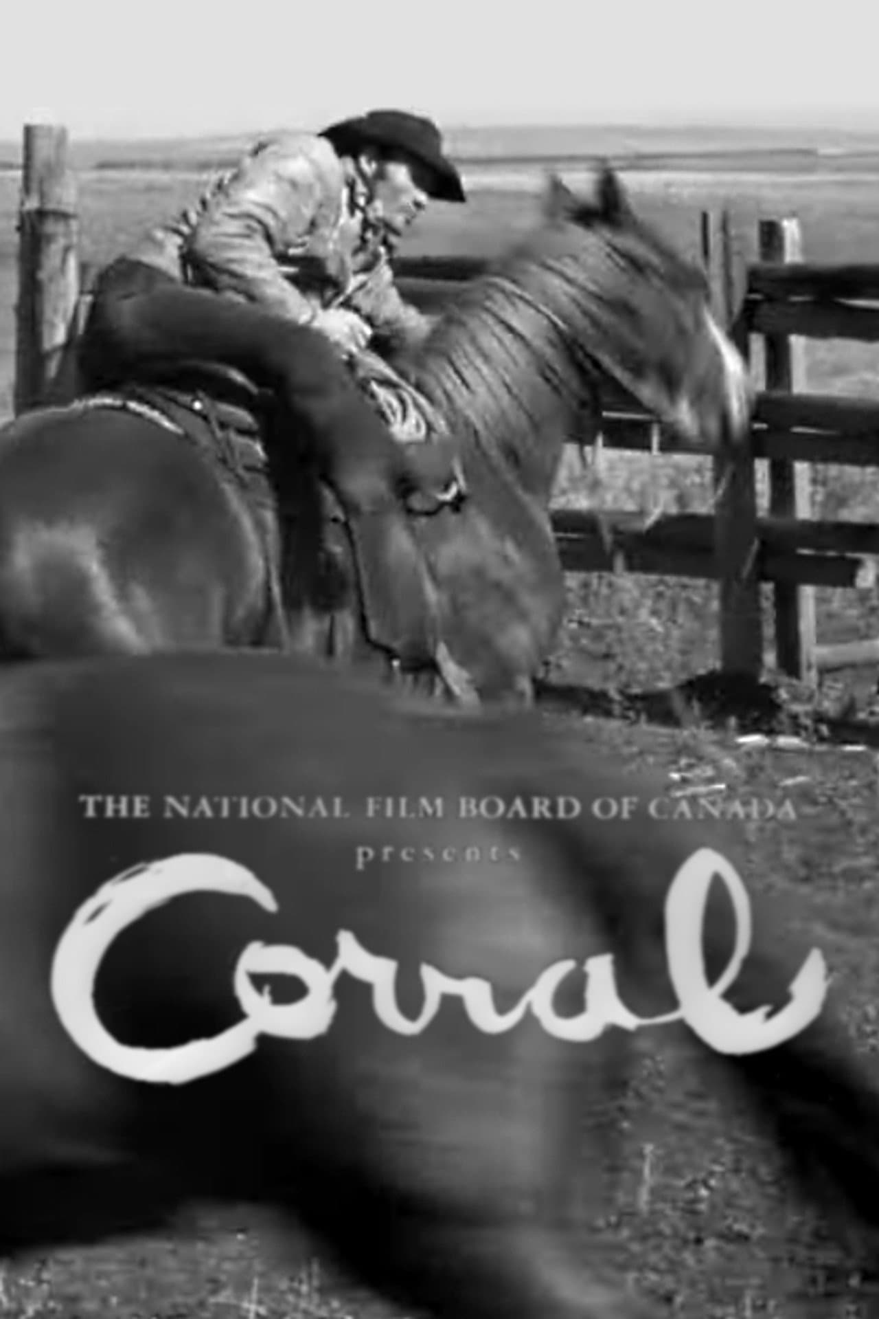 Corral preview 1