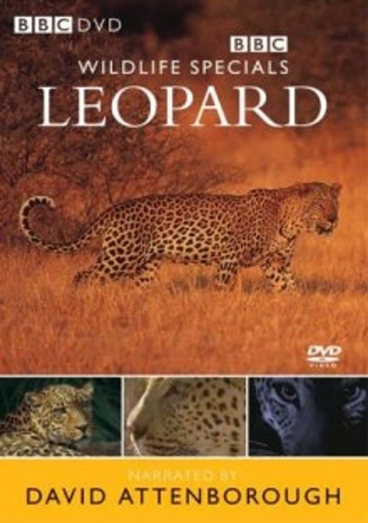 Leopard: The Agent of Darkness preview 1