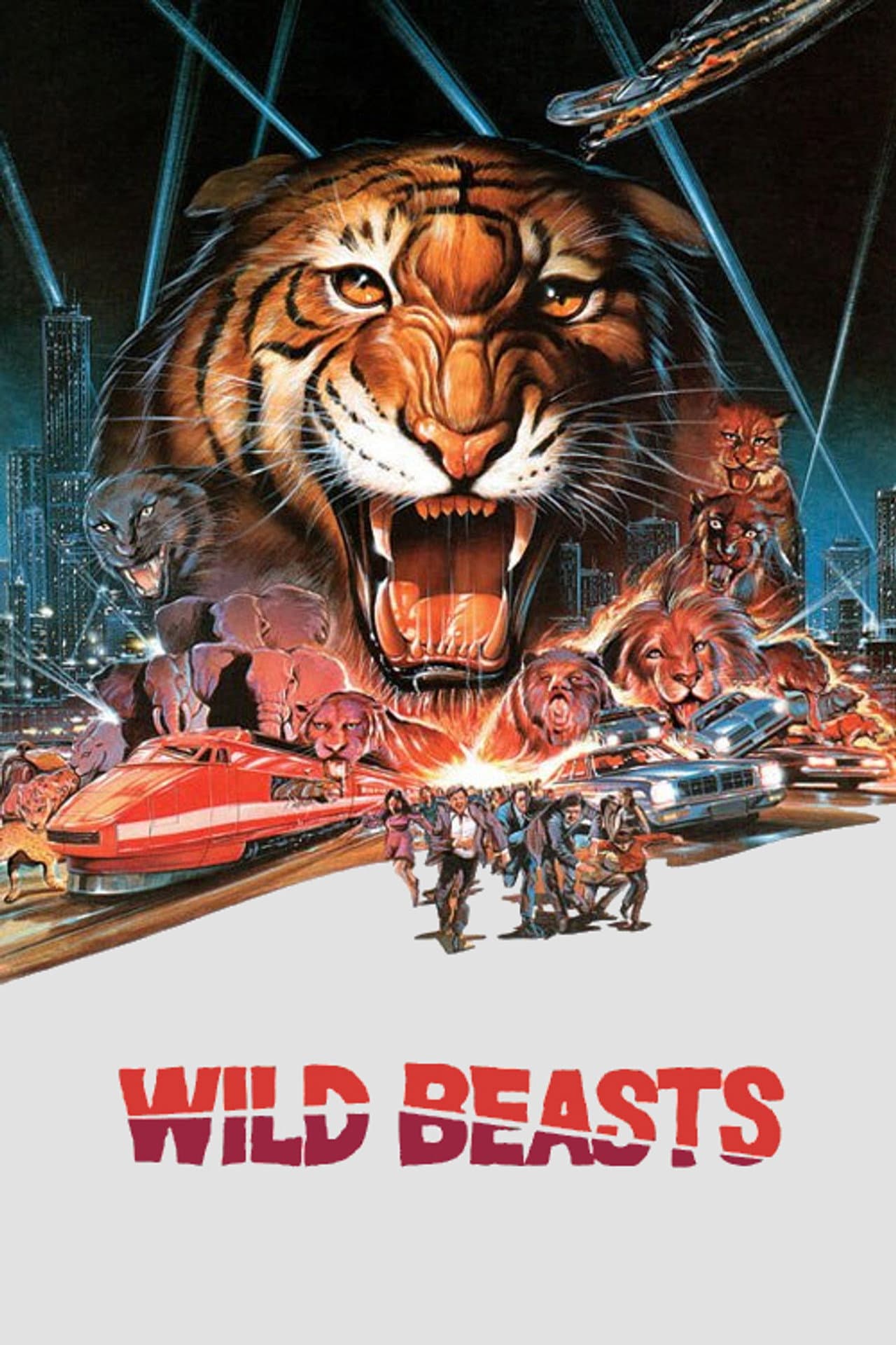Wild Beasts preview 2