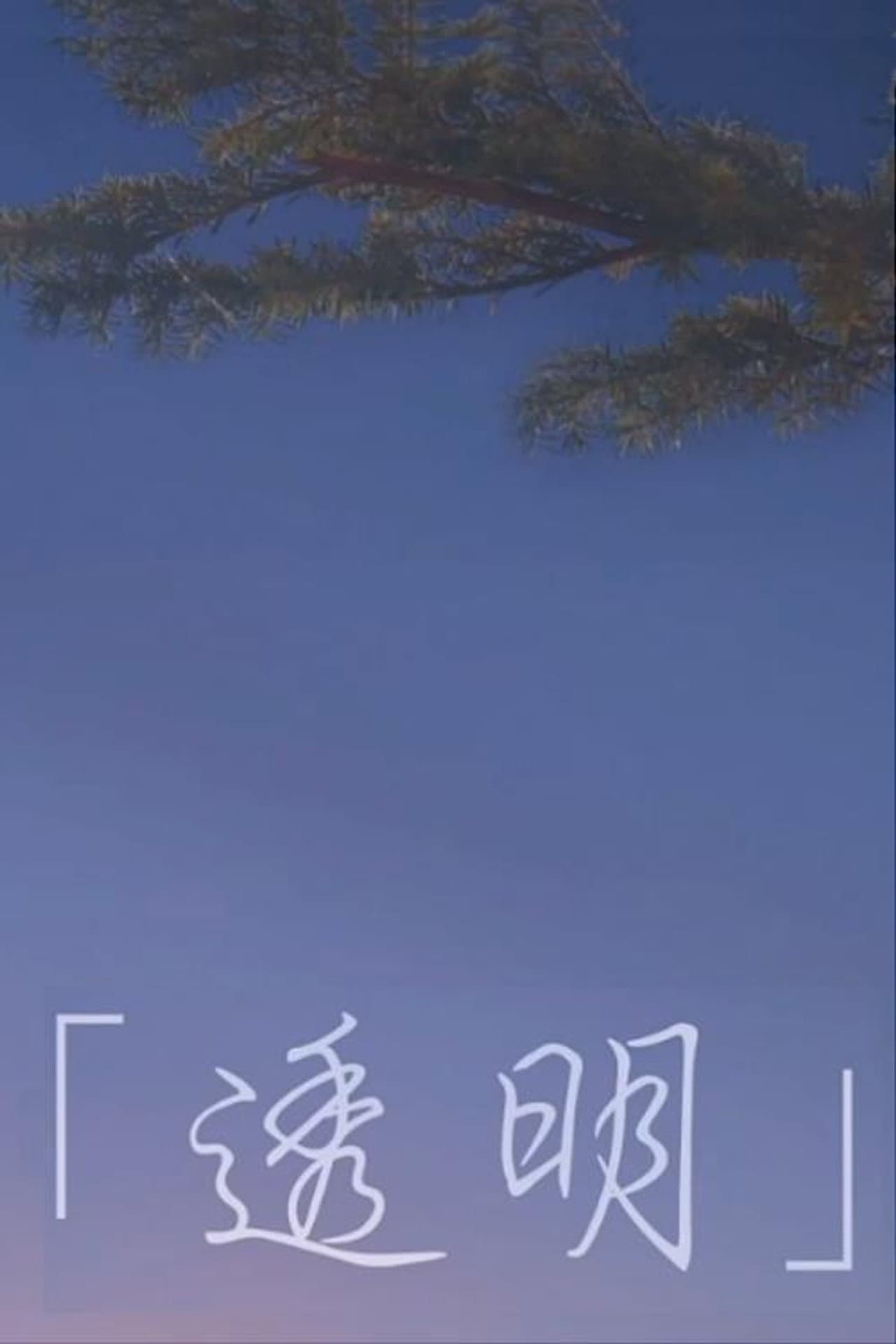 Invisible preview 1