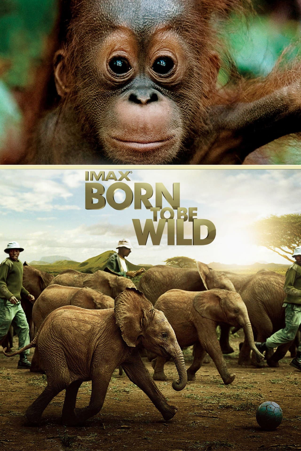 Born to Be Wild preview 2