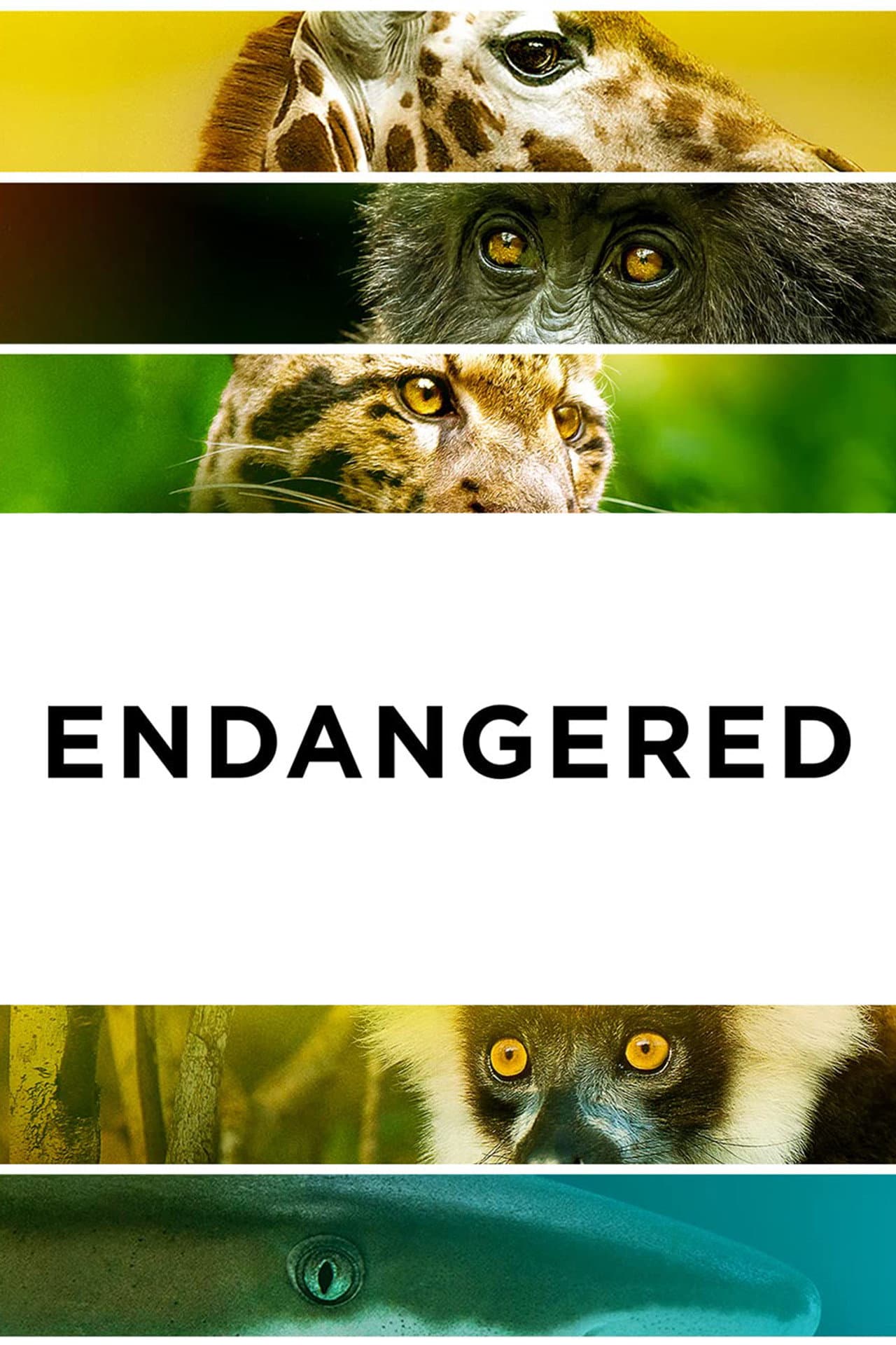 Endangered preview 2