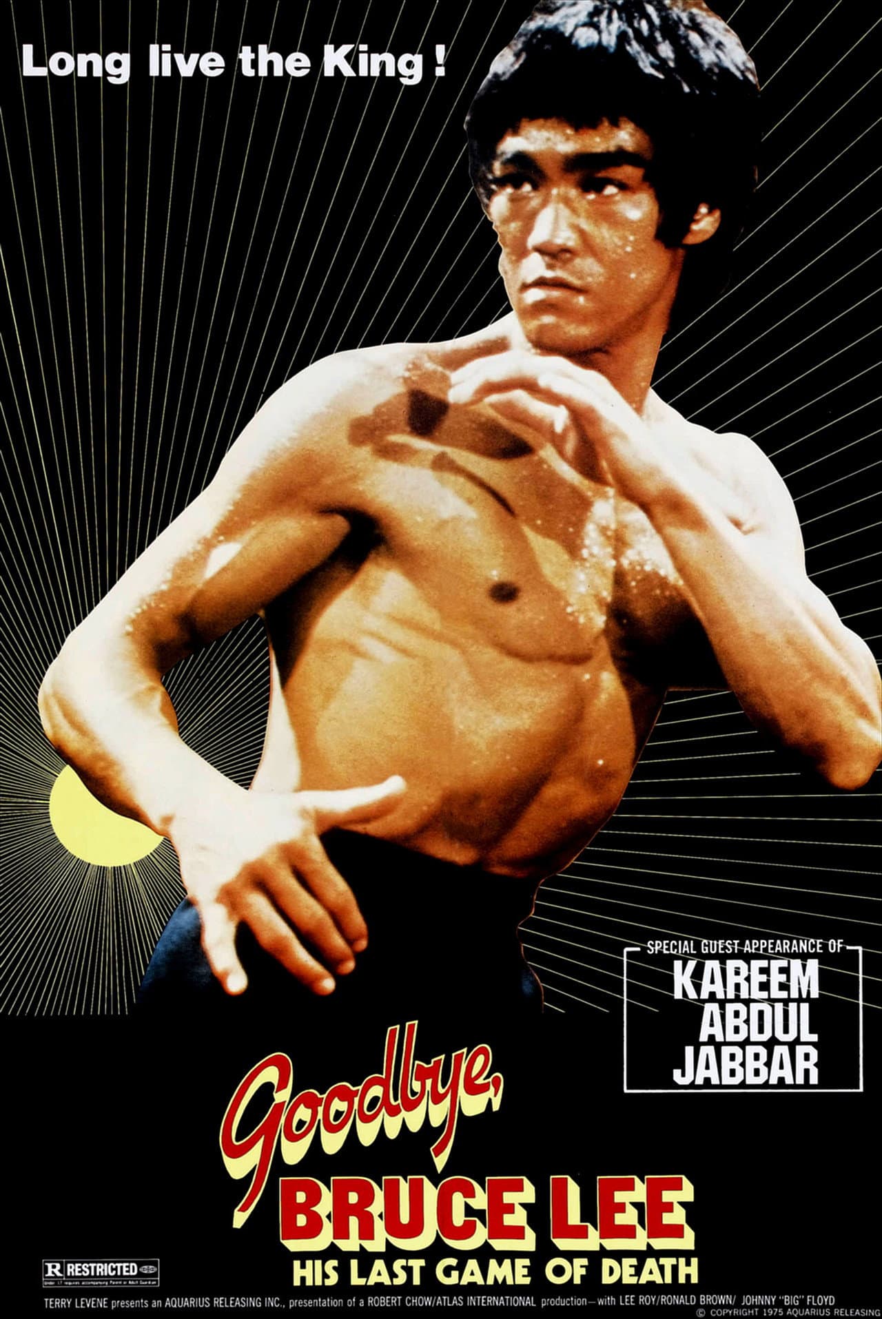 Goodbye Bruce Lee: His Last Game of Death preview 2