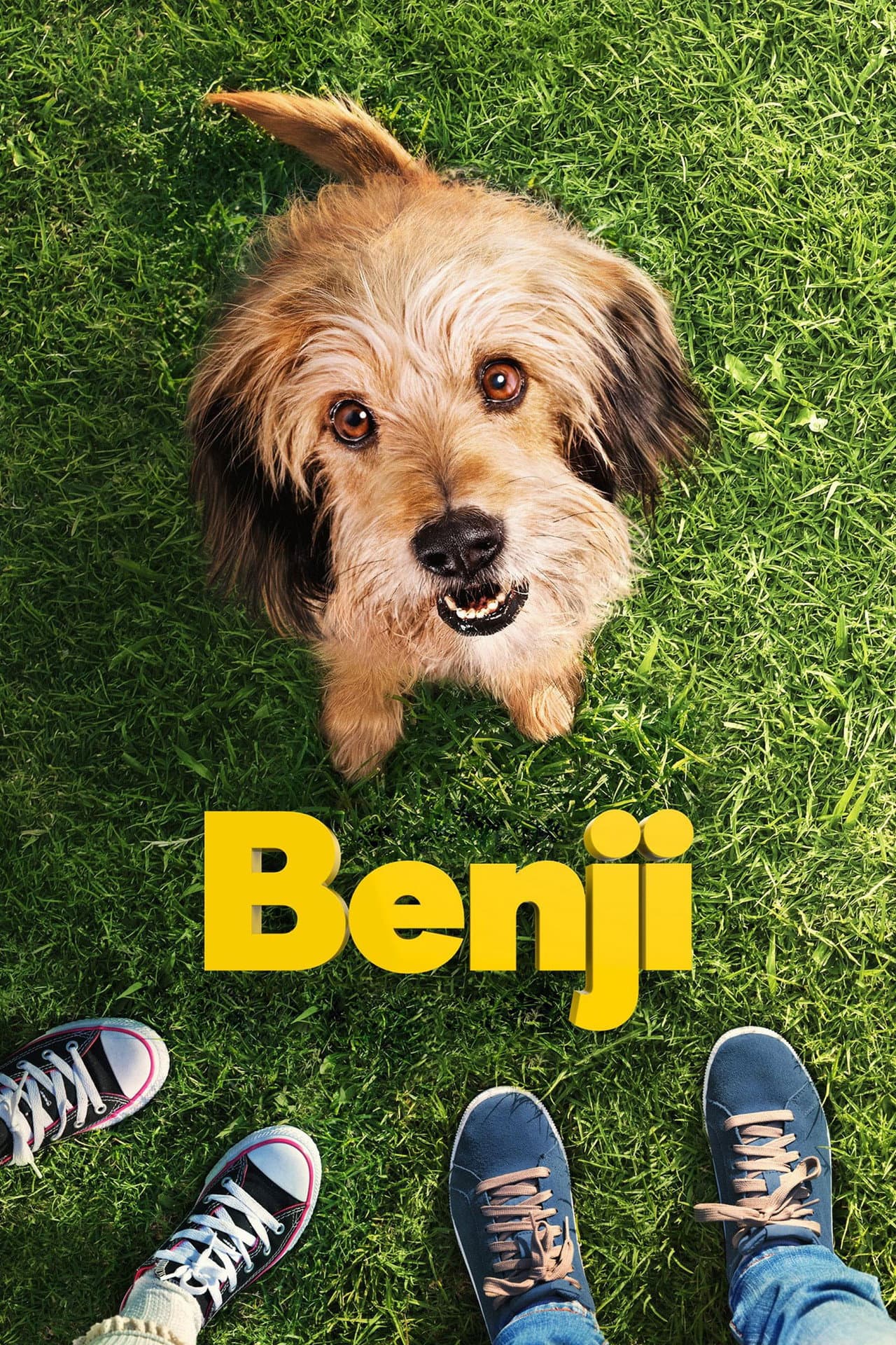 Benji preview 2