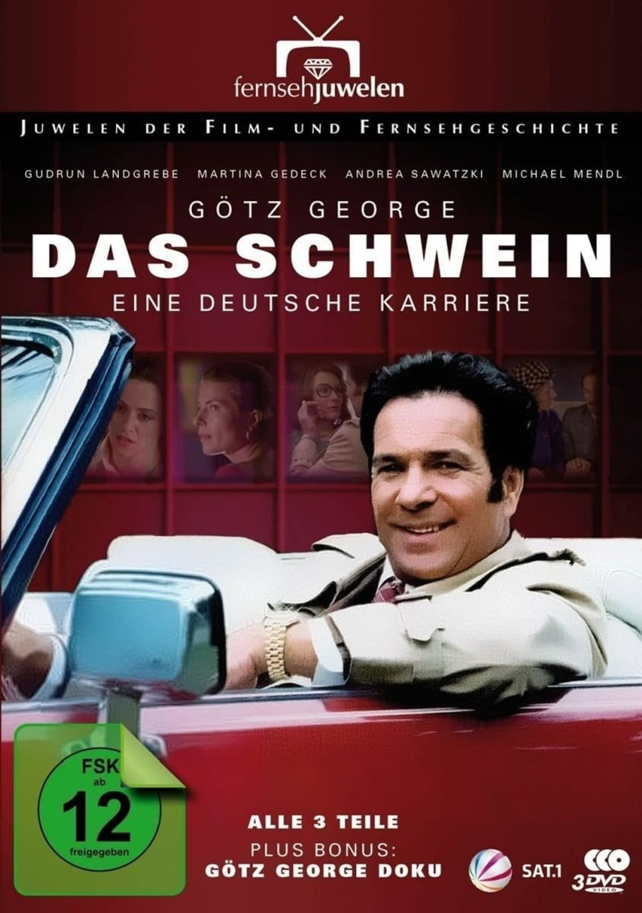Das Schwein - Eine deutsche Karriere preview 1