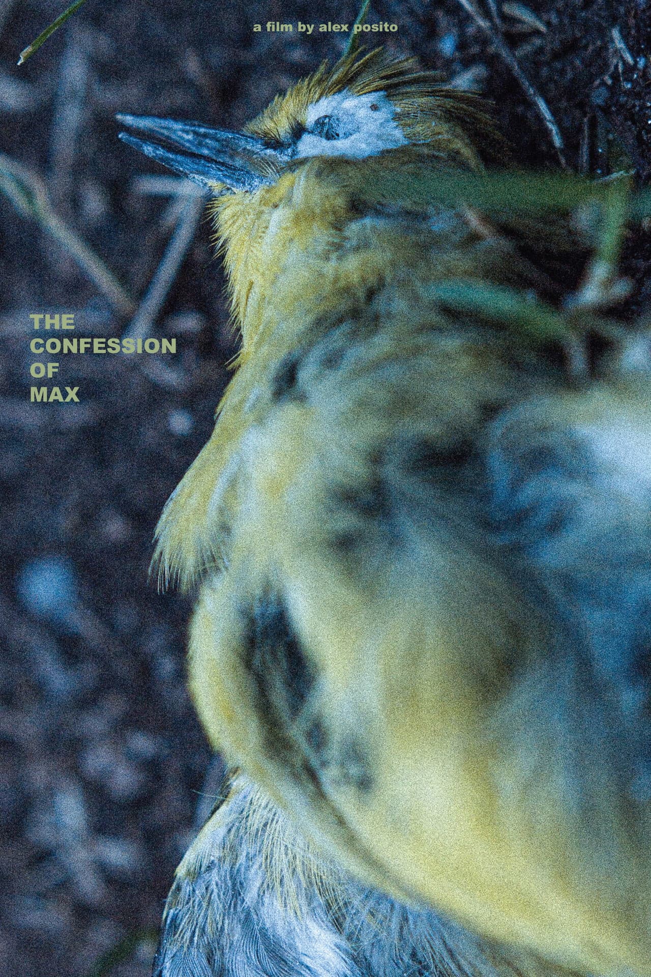 The Confession of Max preview 1