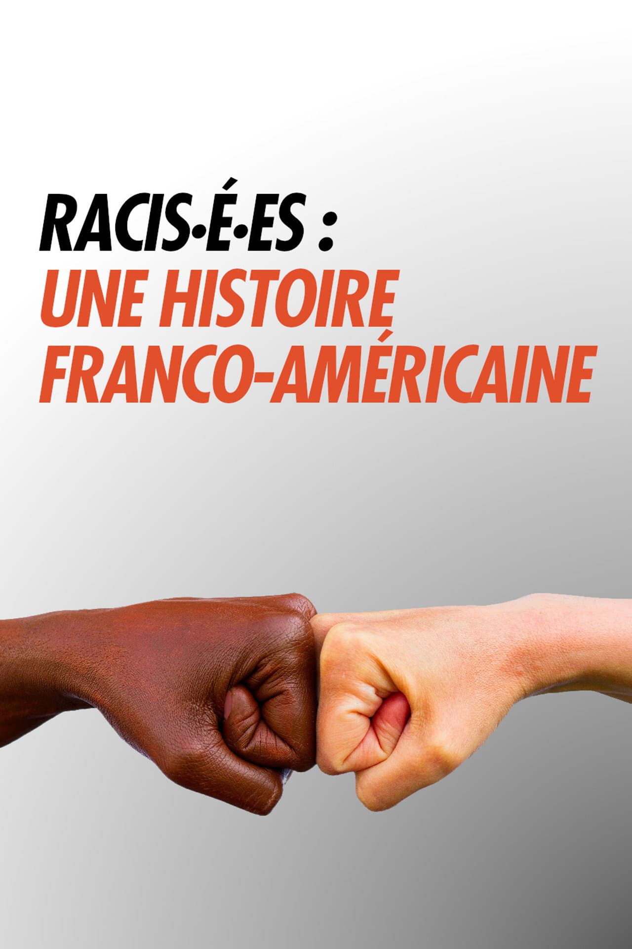 Racisé.e.s : Une histoire franco-américaine preview 2