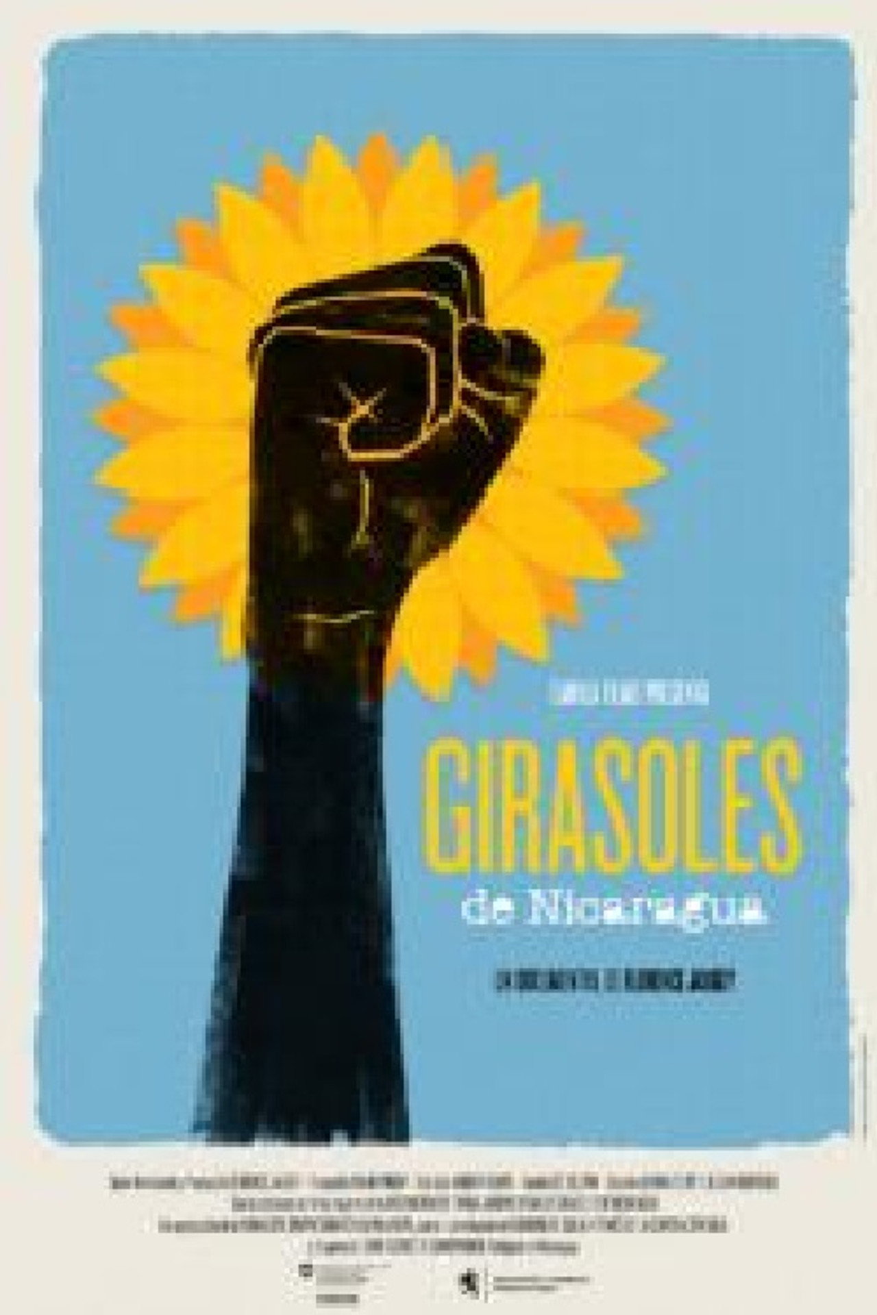 Sunflowers of Nicaragua preview 1