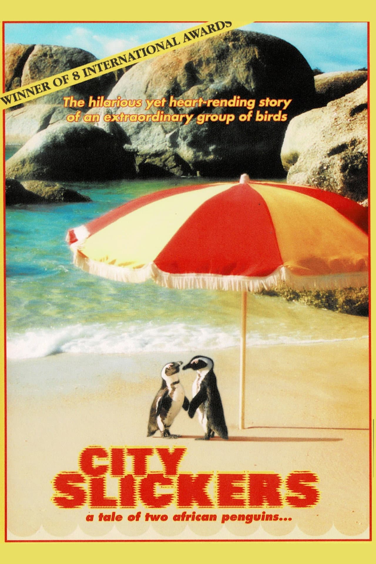 City Slickers: A tale of two African penguins preview 2