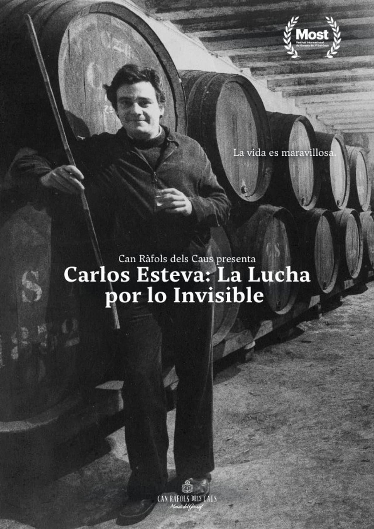Carlos Esteva: the fight for the invisible preview 1