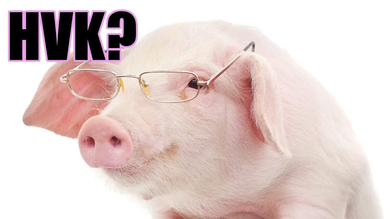 DANK RISHU - pSuDo INTELLECTUAL PIGGA