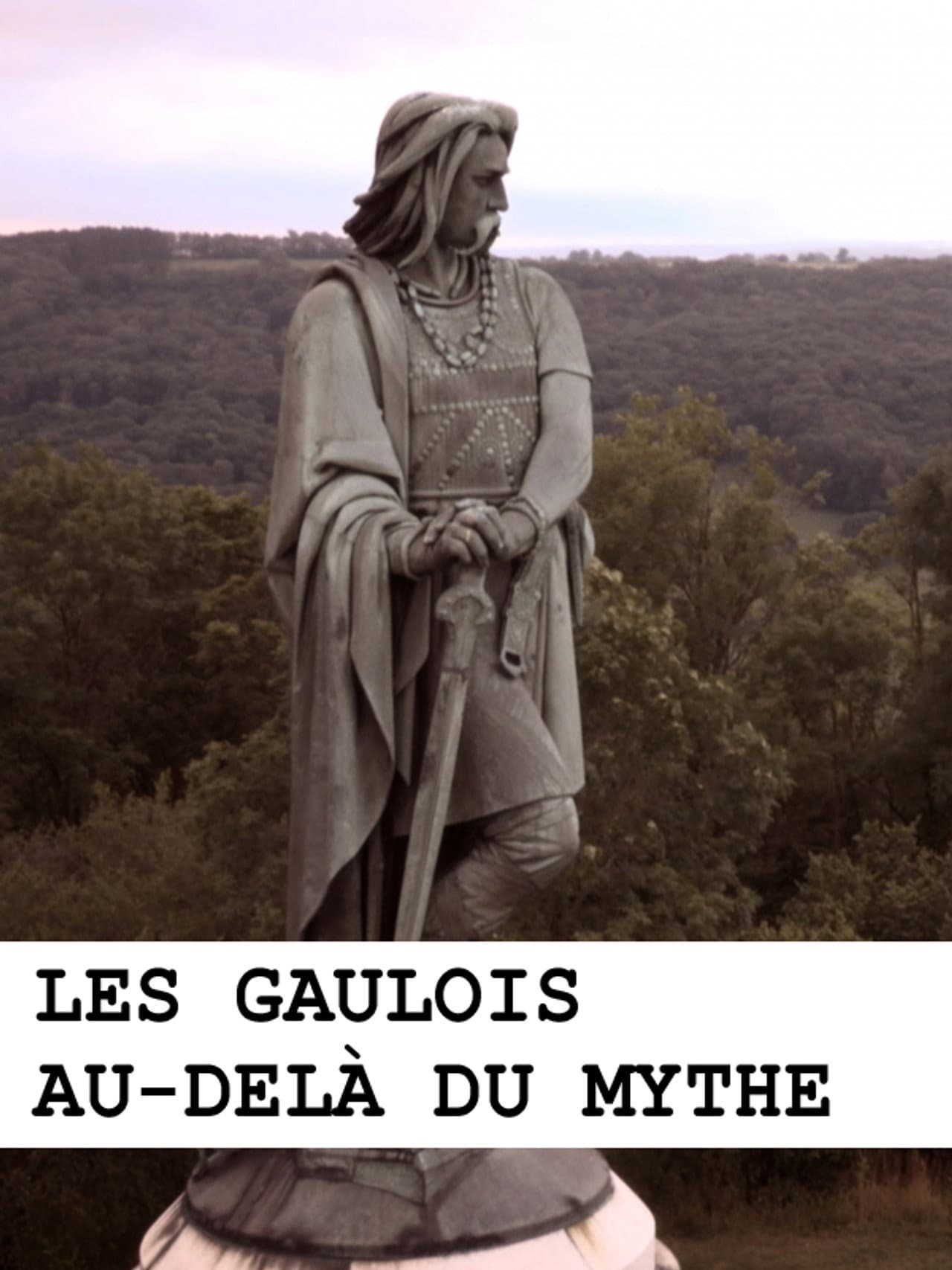 Les Gaulois au-delà du mythe preview 1