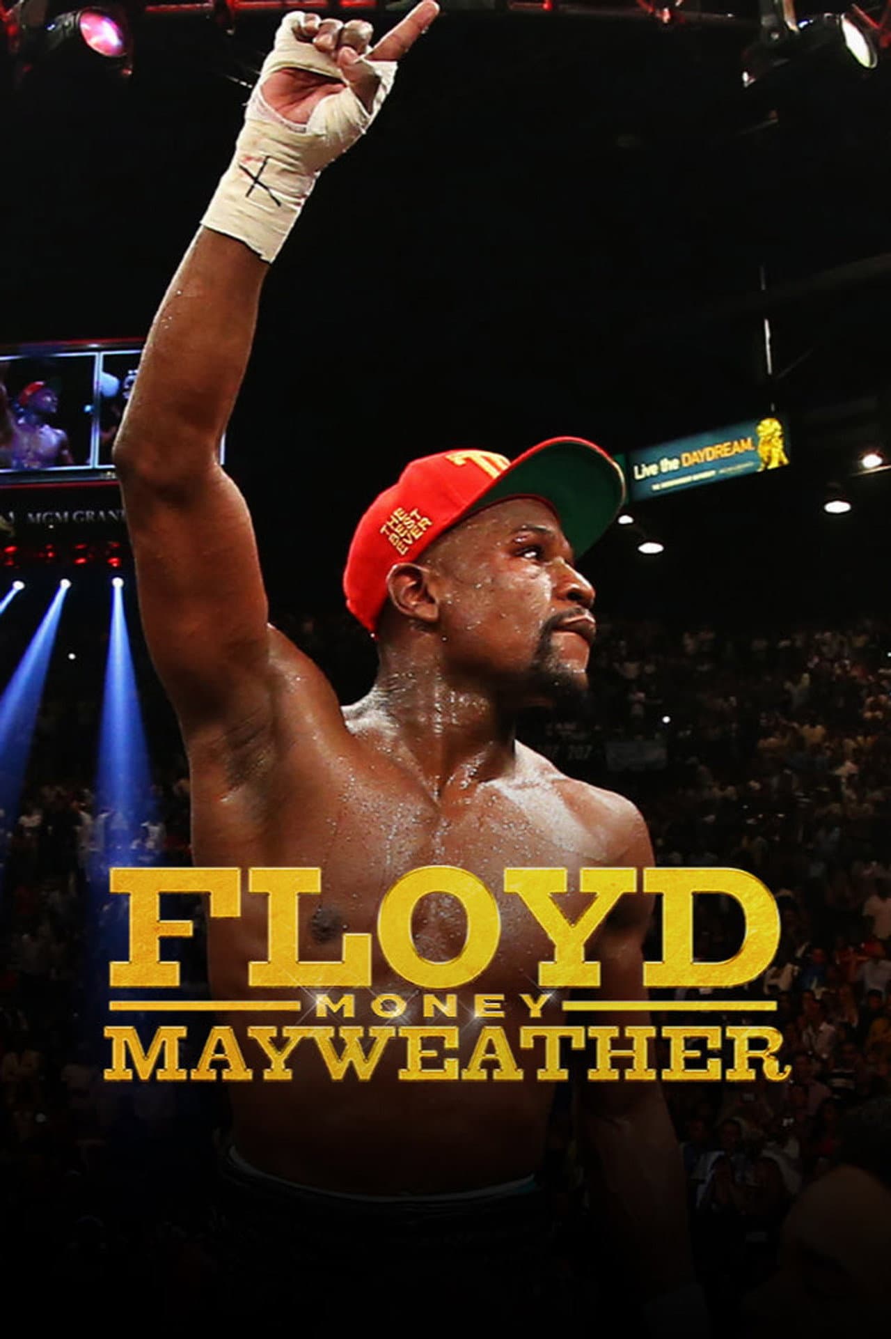Floyd "Money" Mayweather preview 2