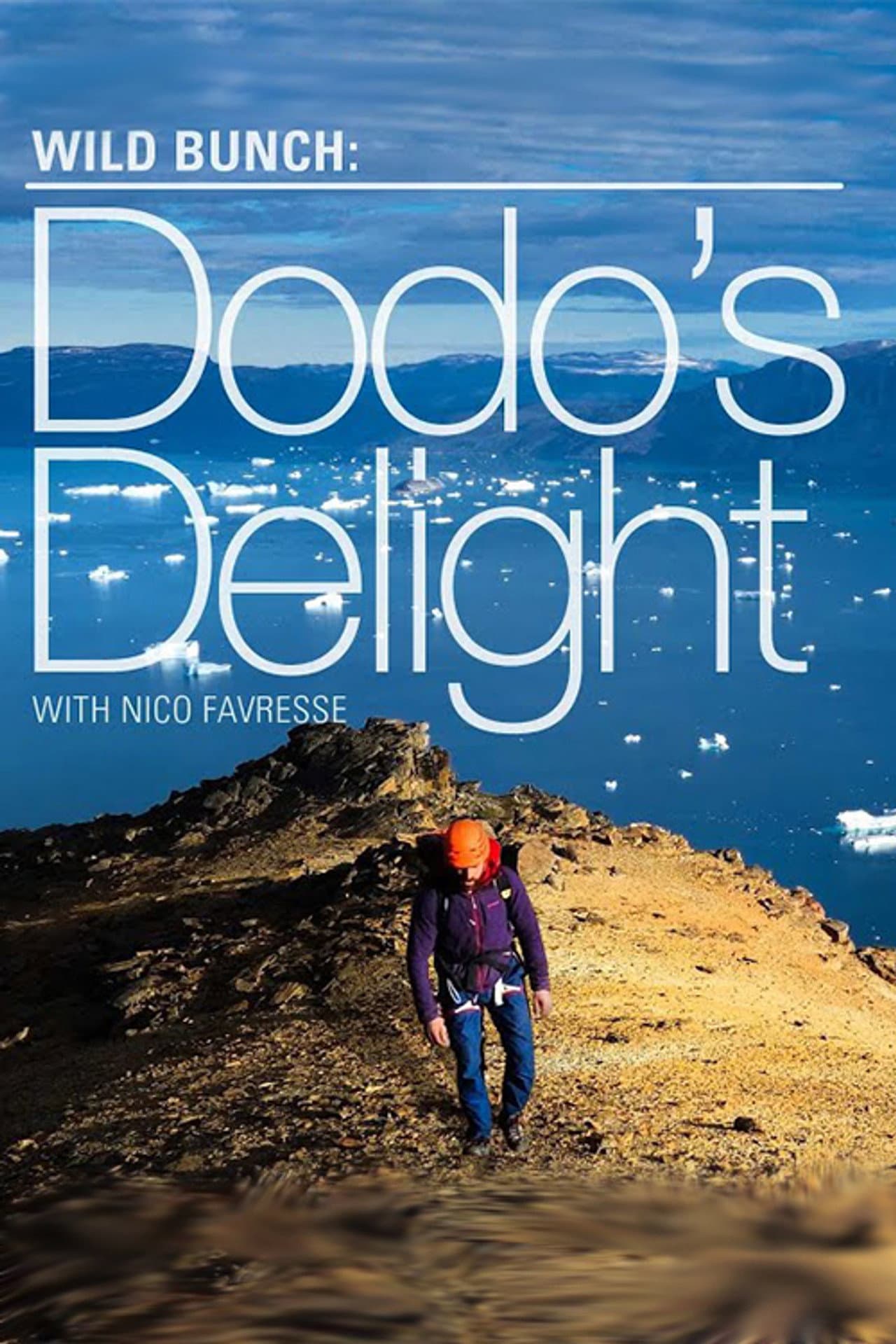 Dodo's Delight - The Adventures Of The Dodo preview 2