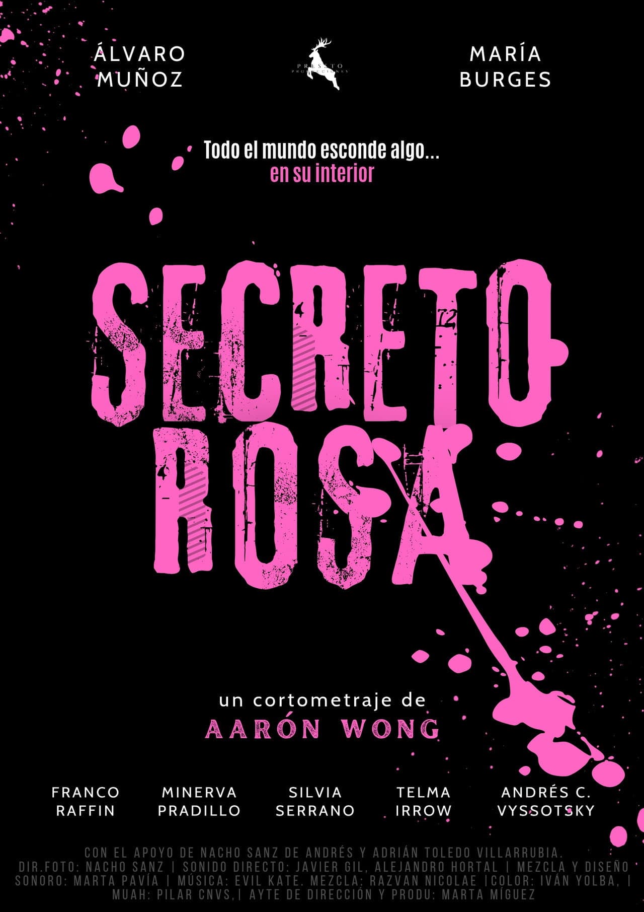 Secreto Rosa preview 1