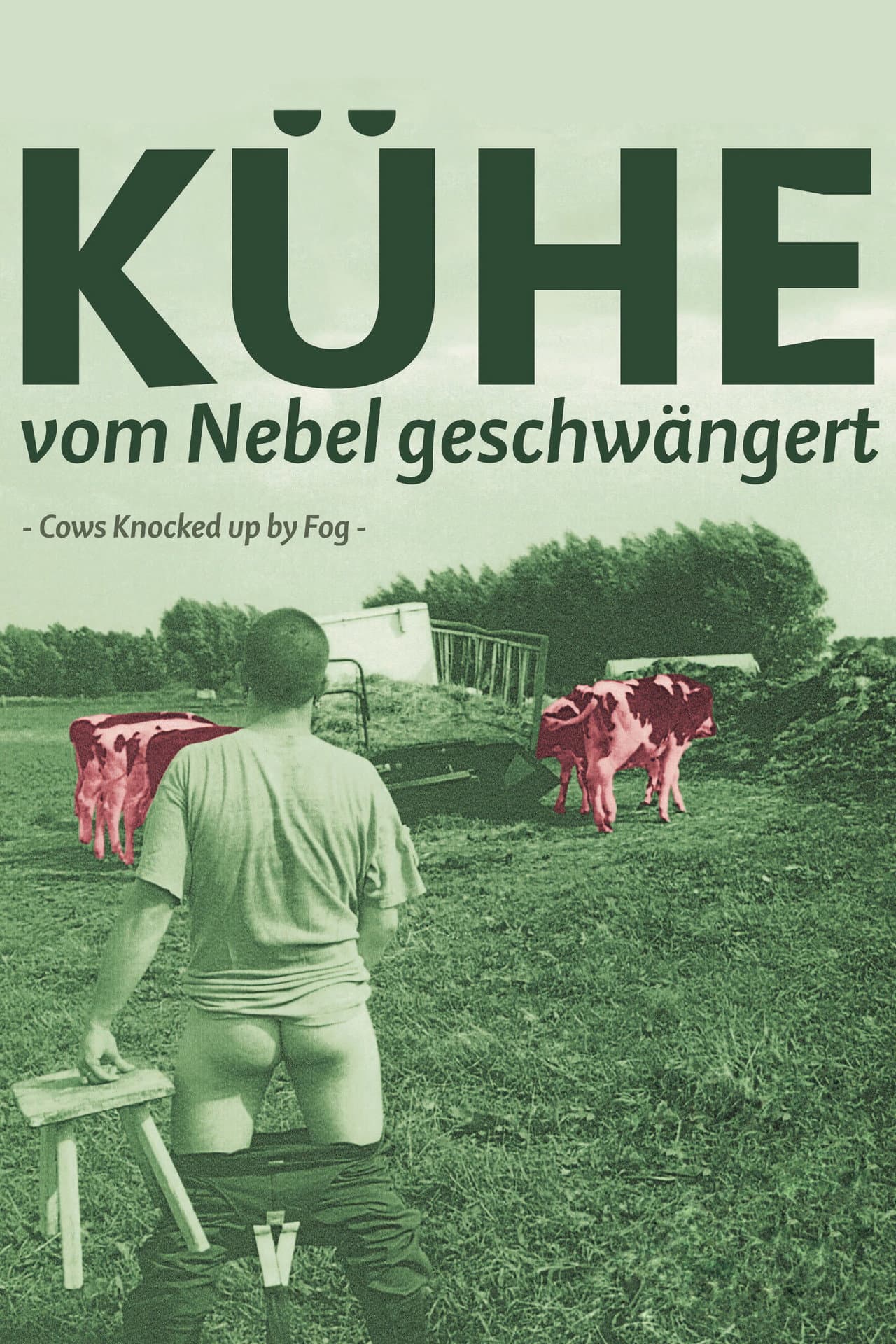 Cows Knocked Up by Fog preview 1