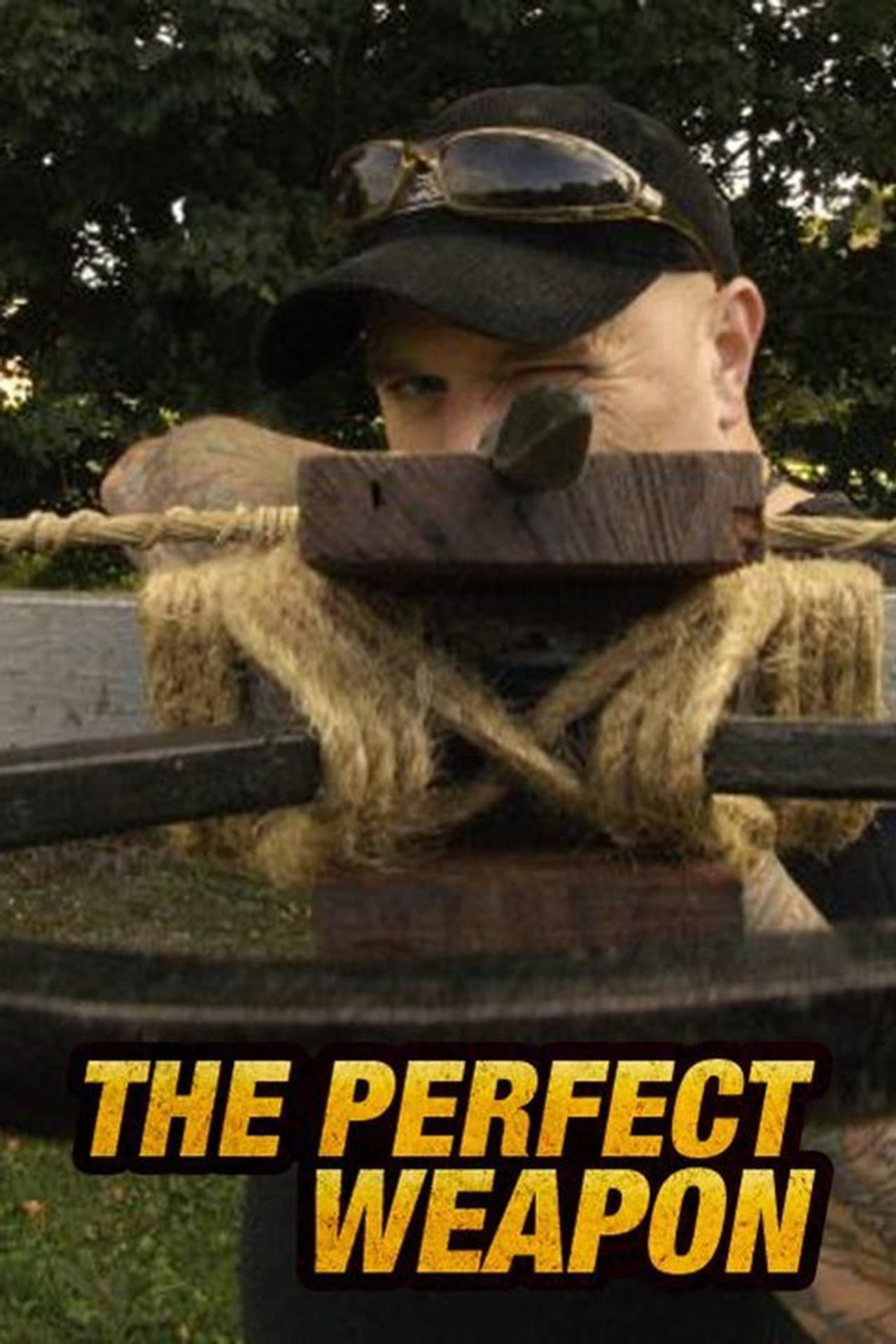 Perfect Weapon preview 2