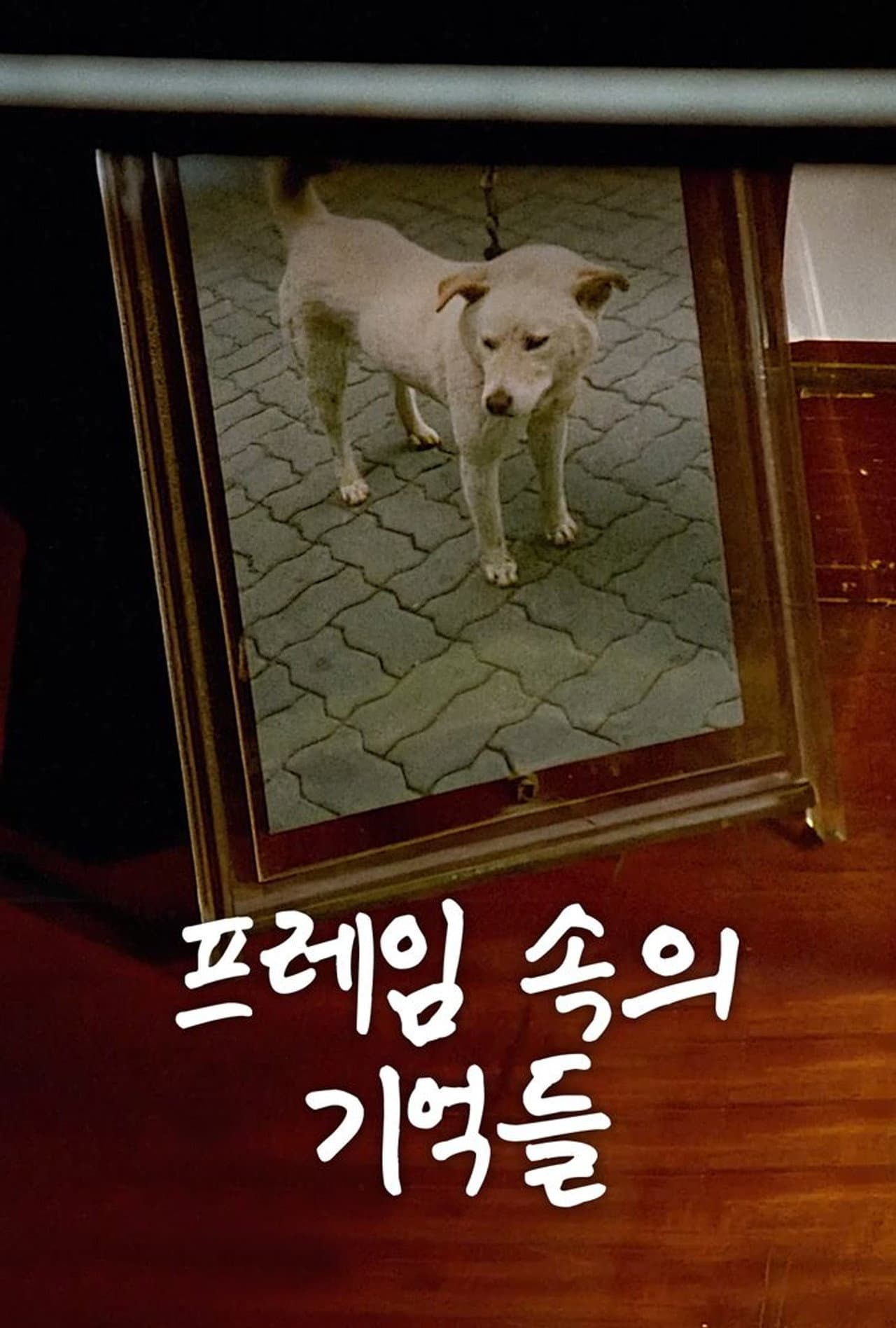 The Memories in My Frame preview 2