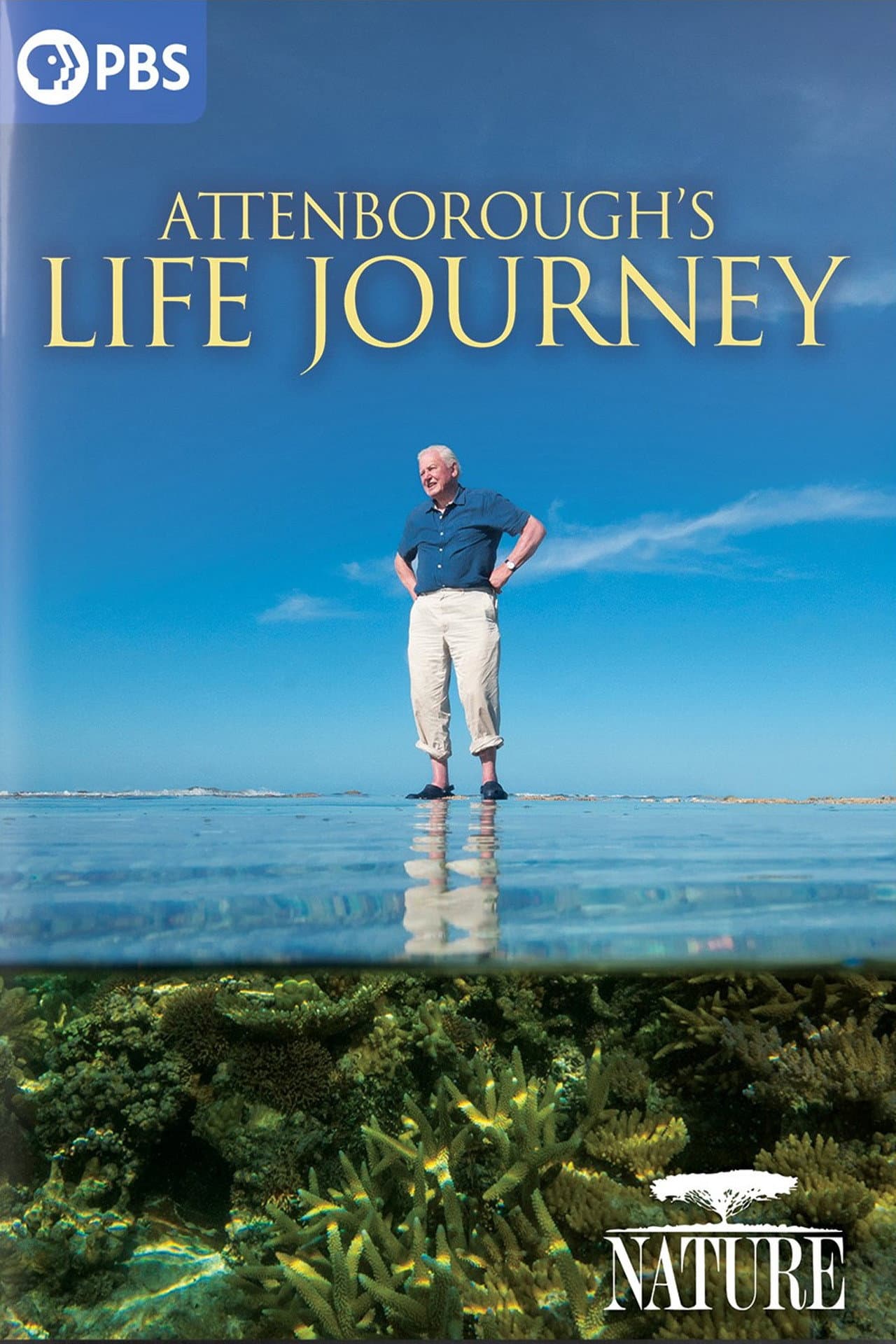Attenborough's Life Journey preview 1