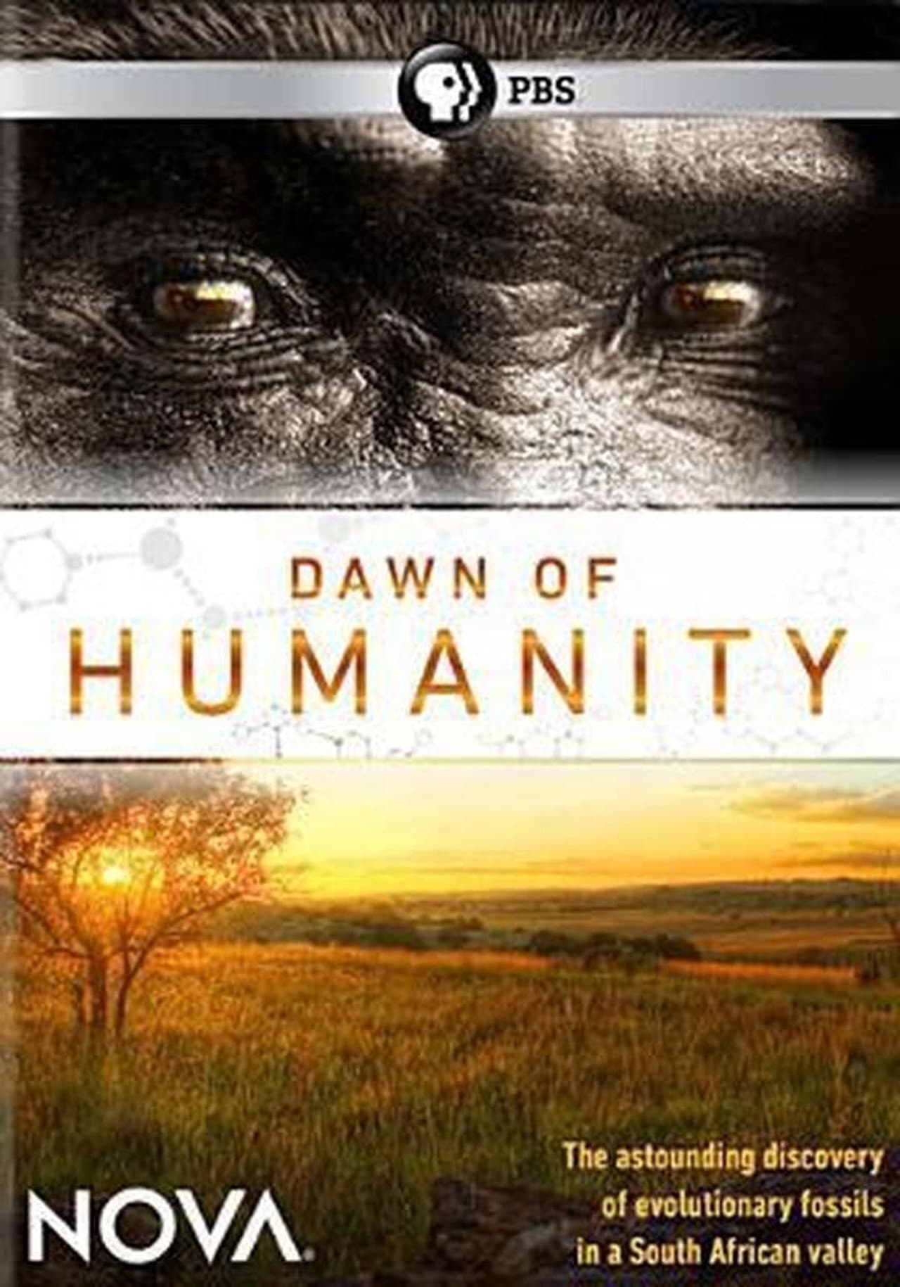 Dawn of Humanity preview 2