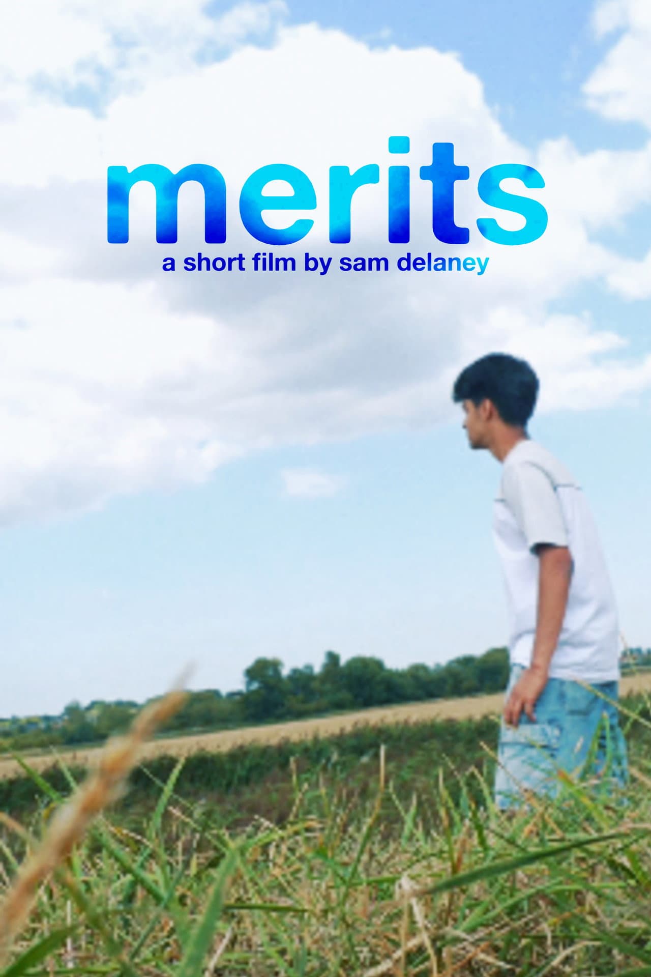 Merits preview 1