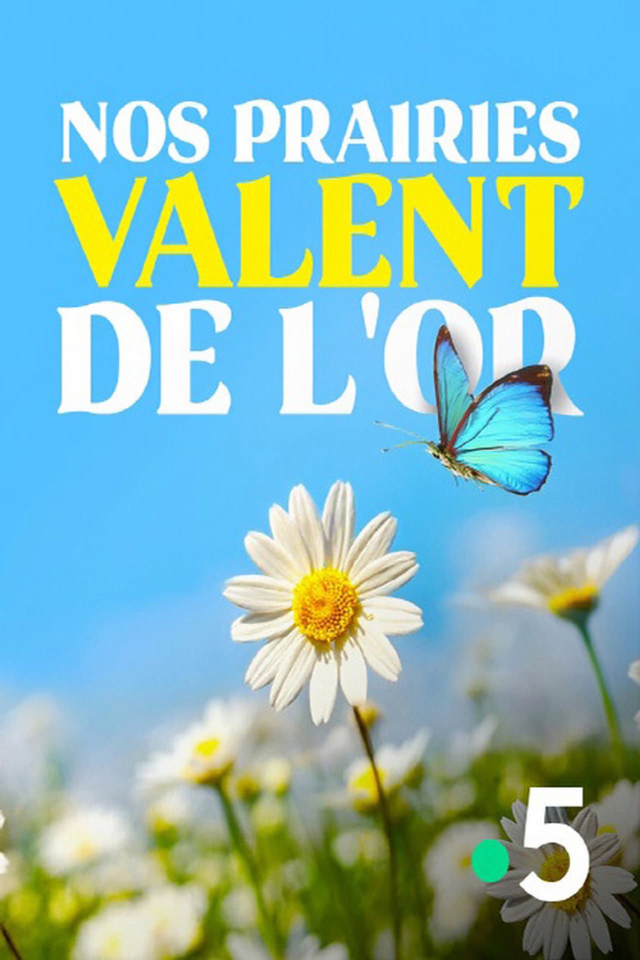Nos prairies valent de l'or preview 1