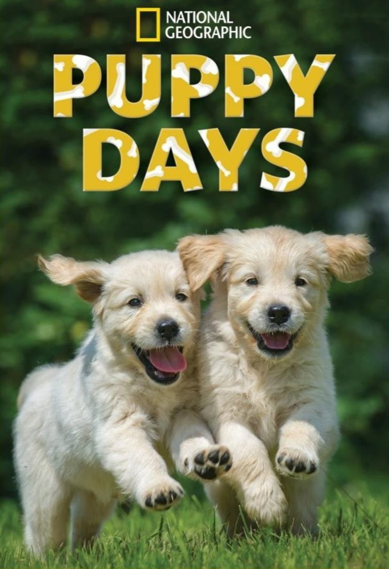 Puppy Days preview 1