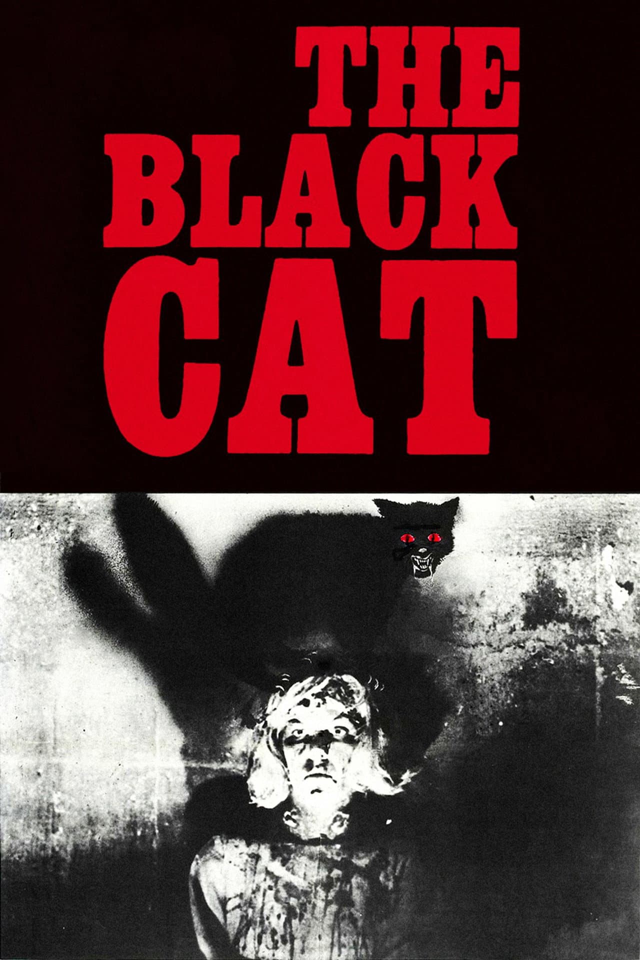 The Black Cat preview 2
