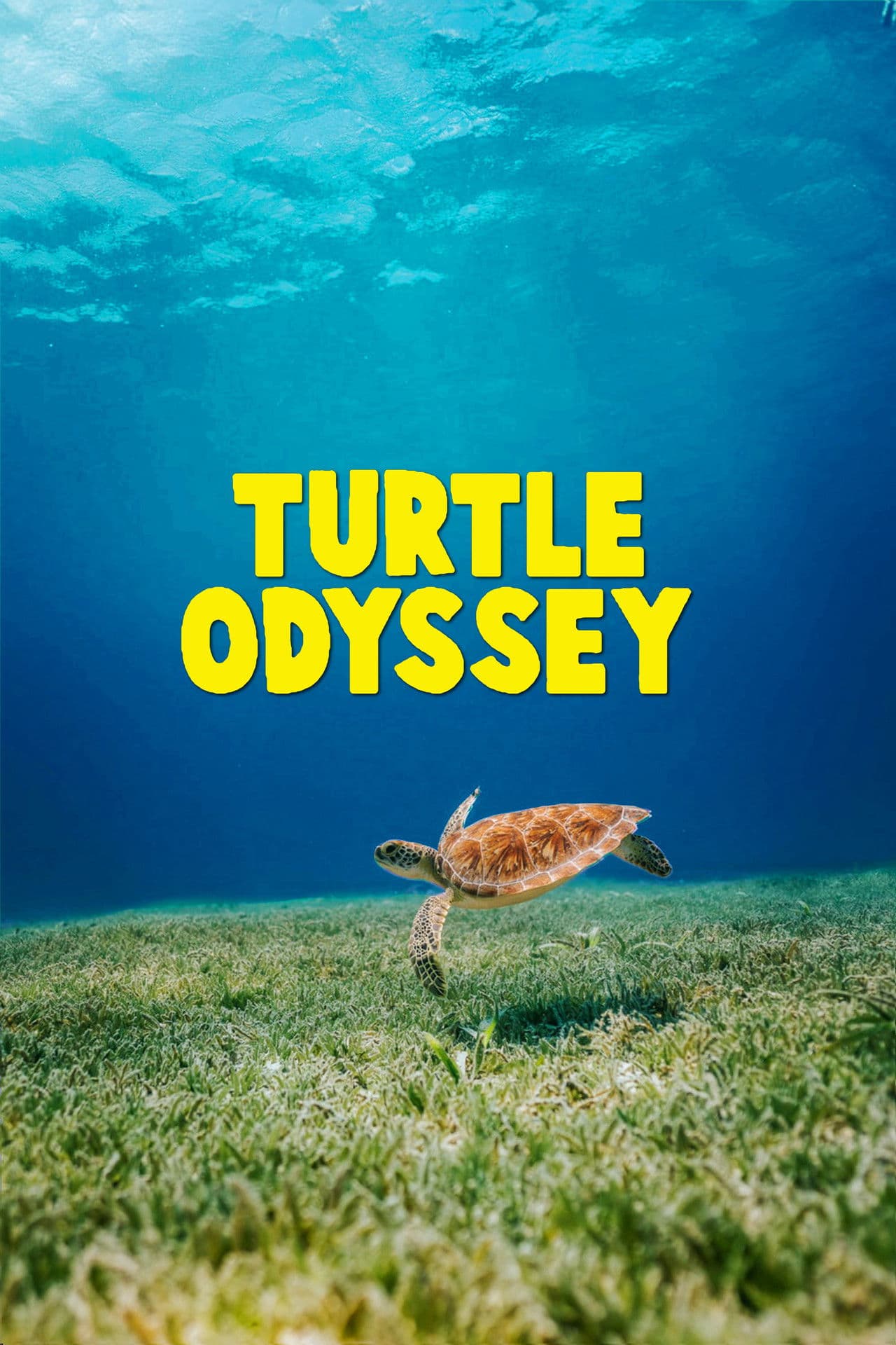 Turtle Odyssey preview 2