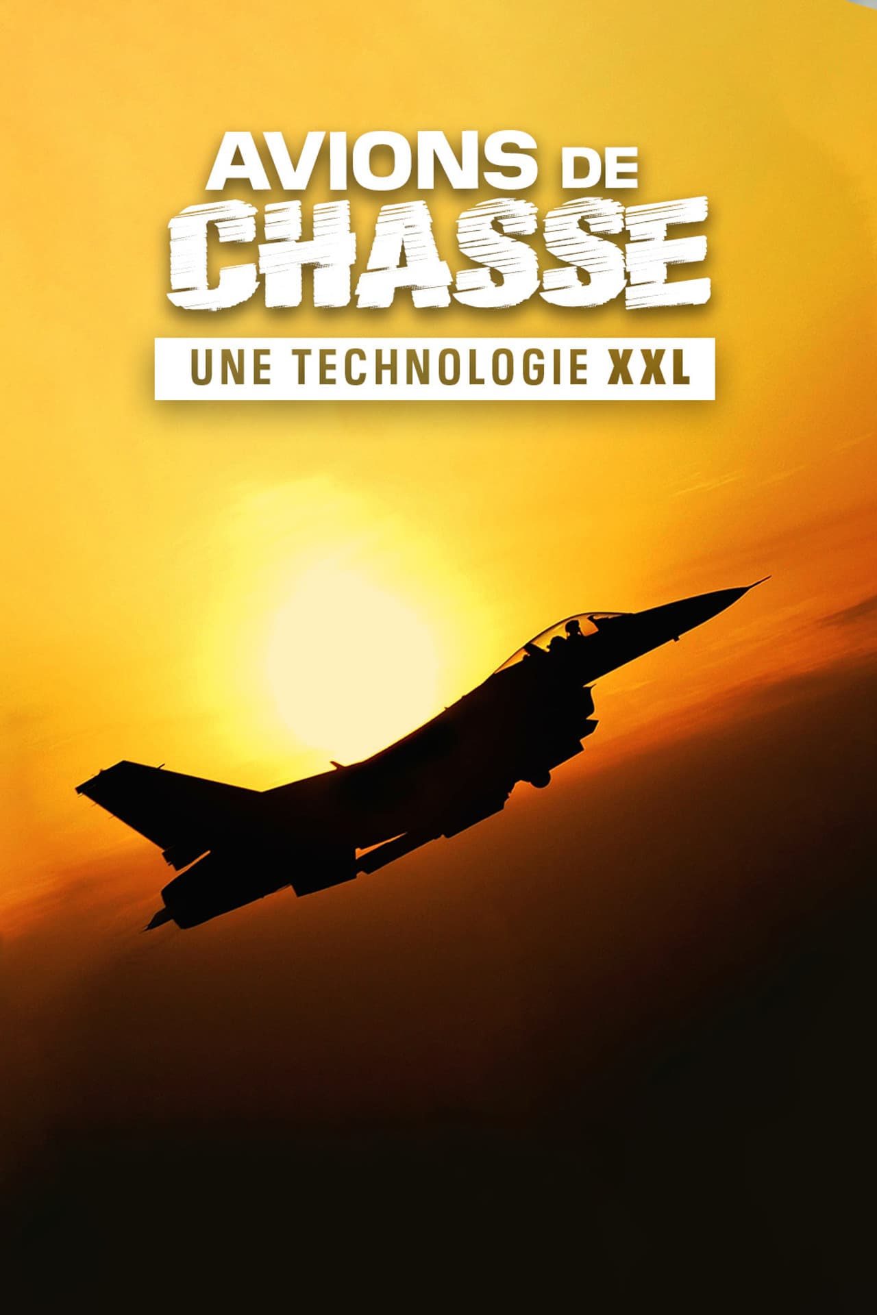 Avions de chasse : Une technologie XXL preview 2