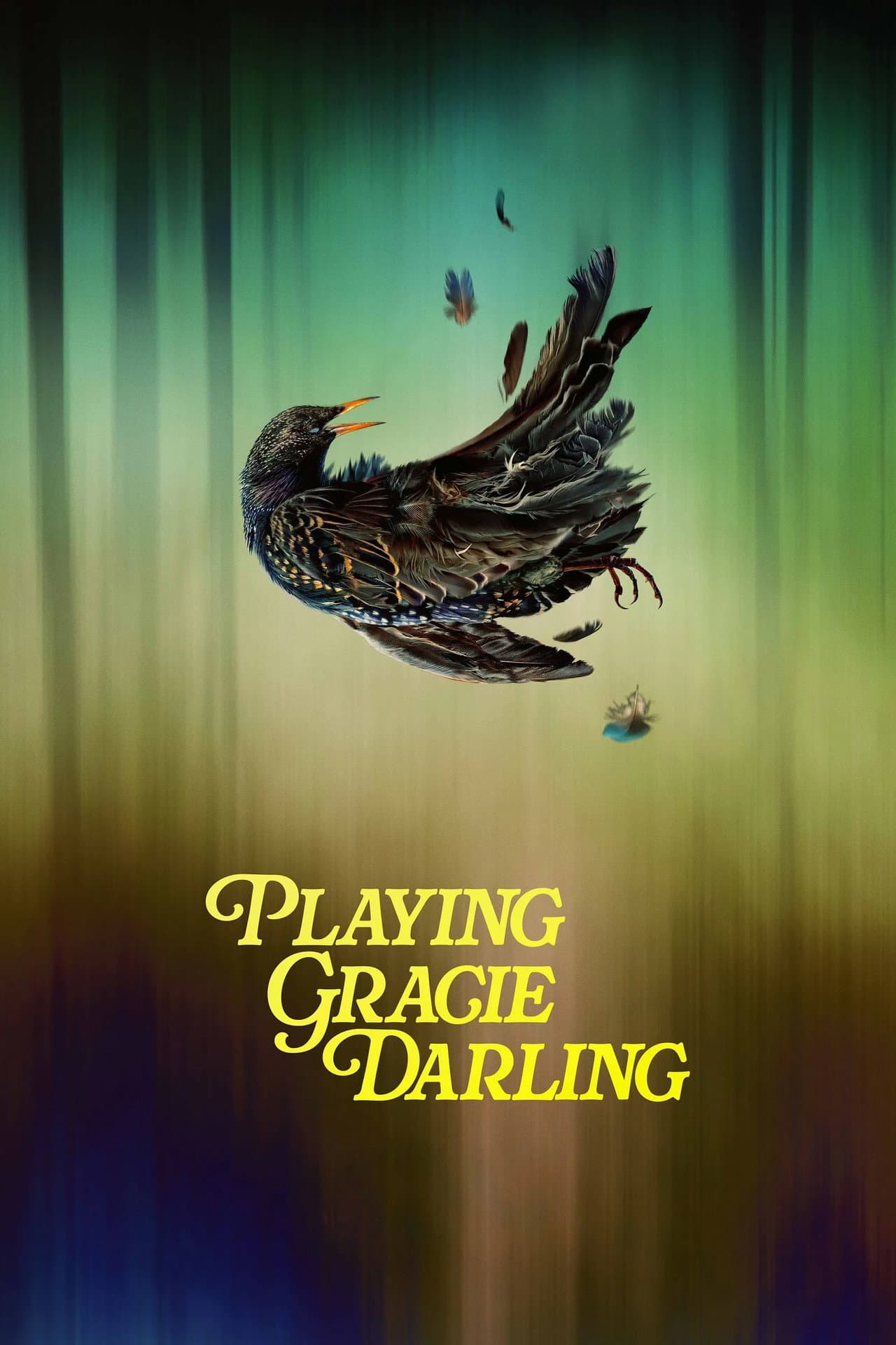 Playing Gracie Darling preview 2