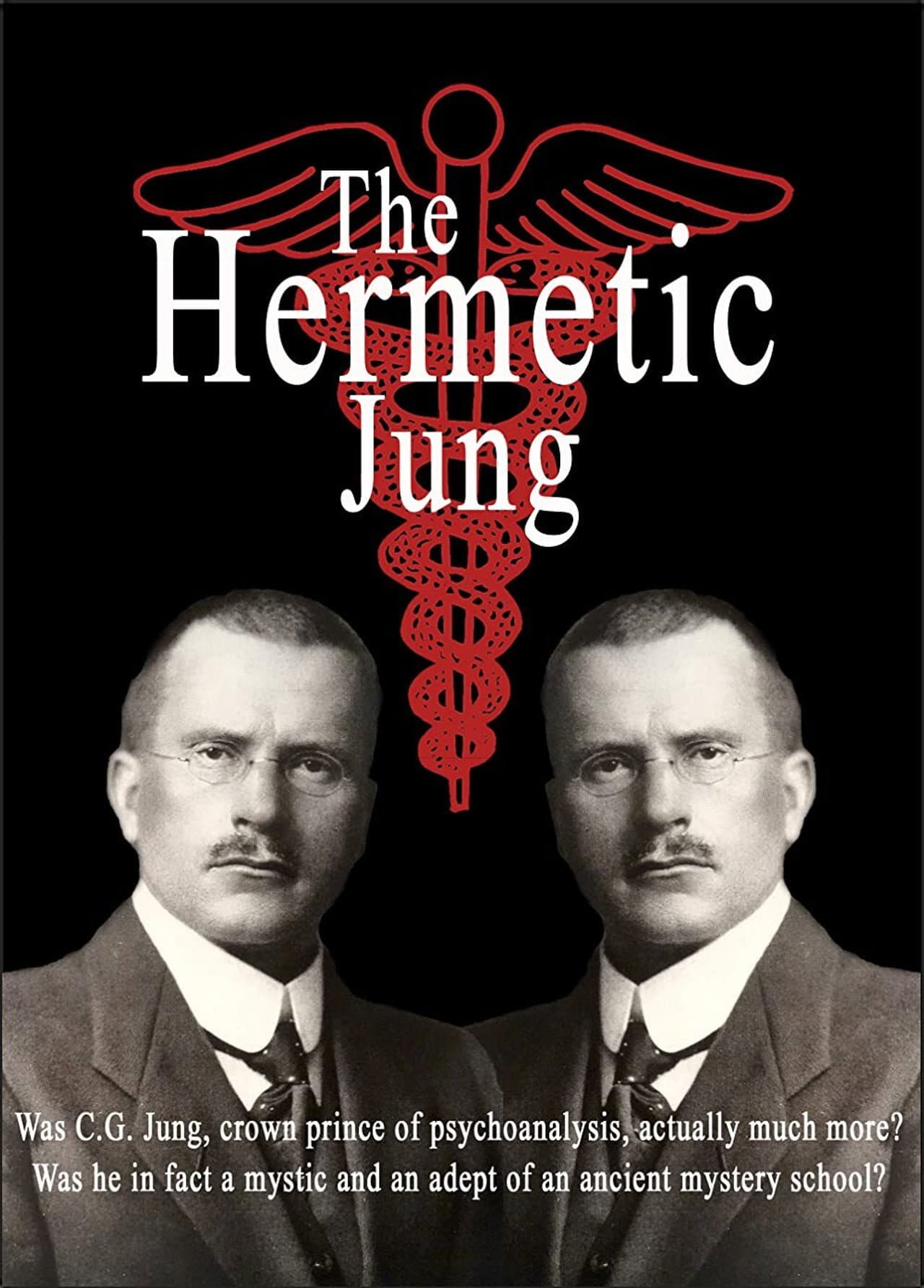 The Hermetic Jung preview 2