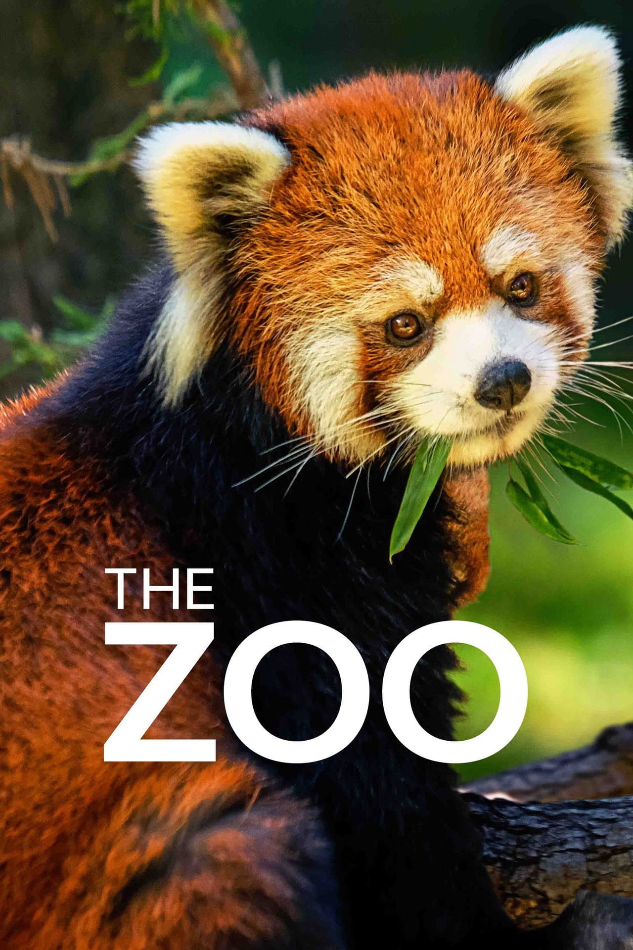 The Zoo preview 2