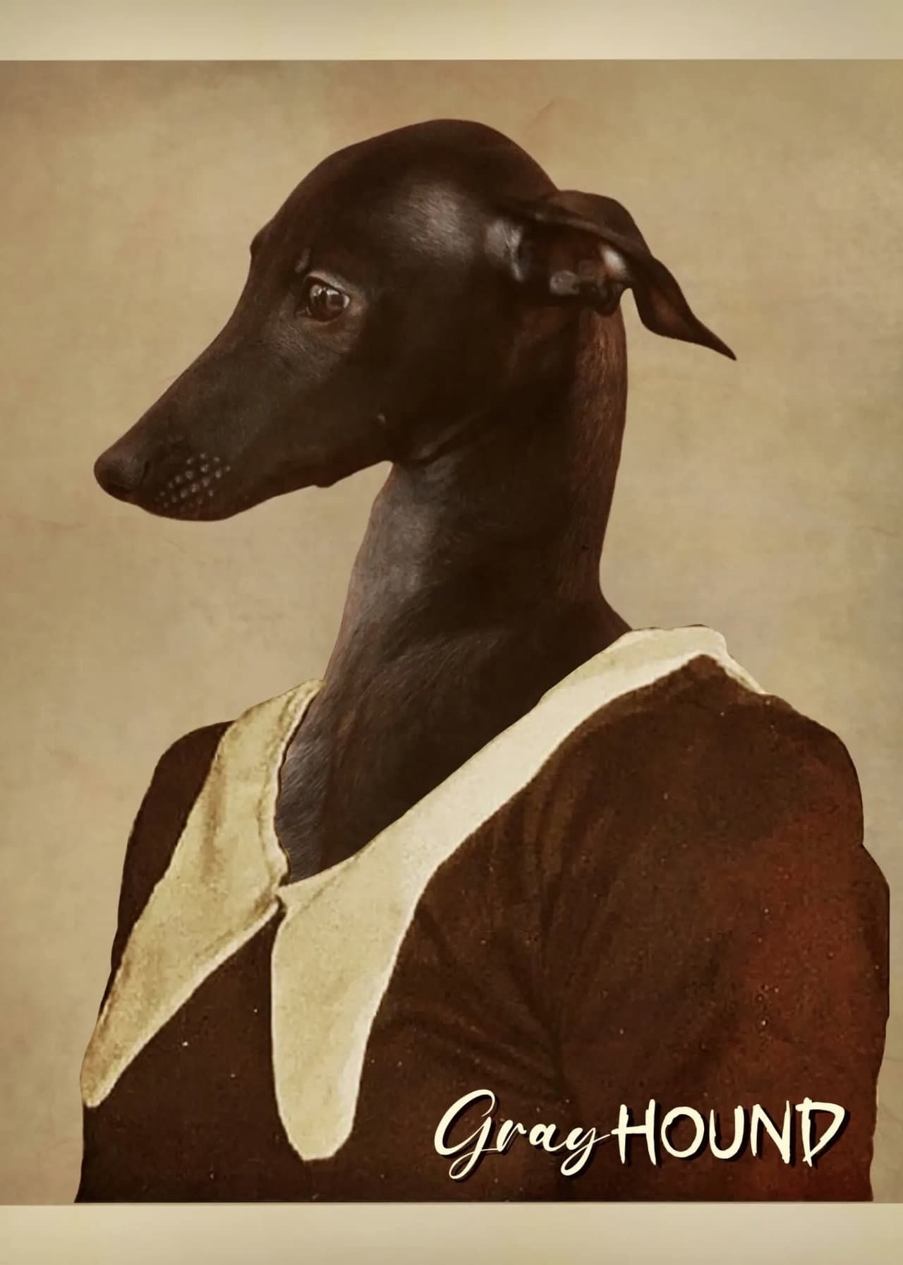 Gray Hound preview 1