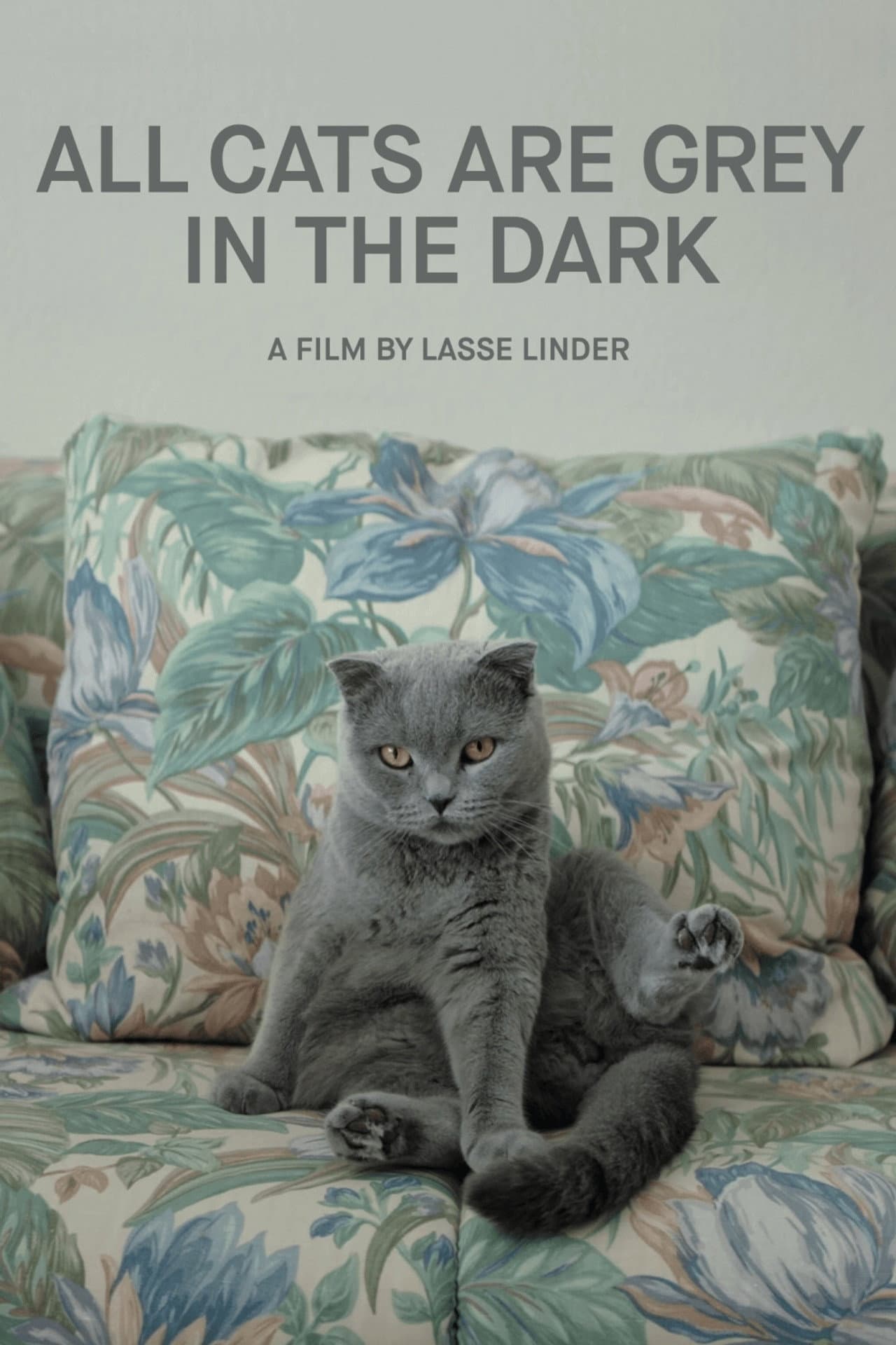 All Cats Are Grey in the Dark preview 2